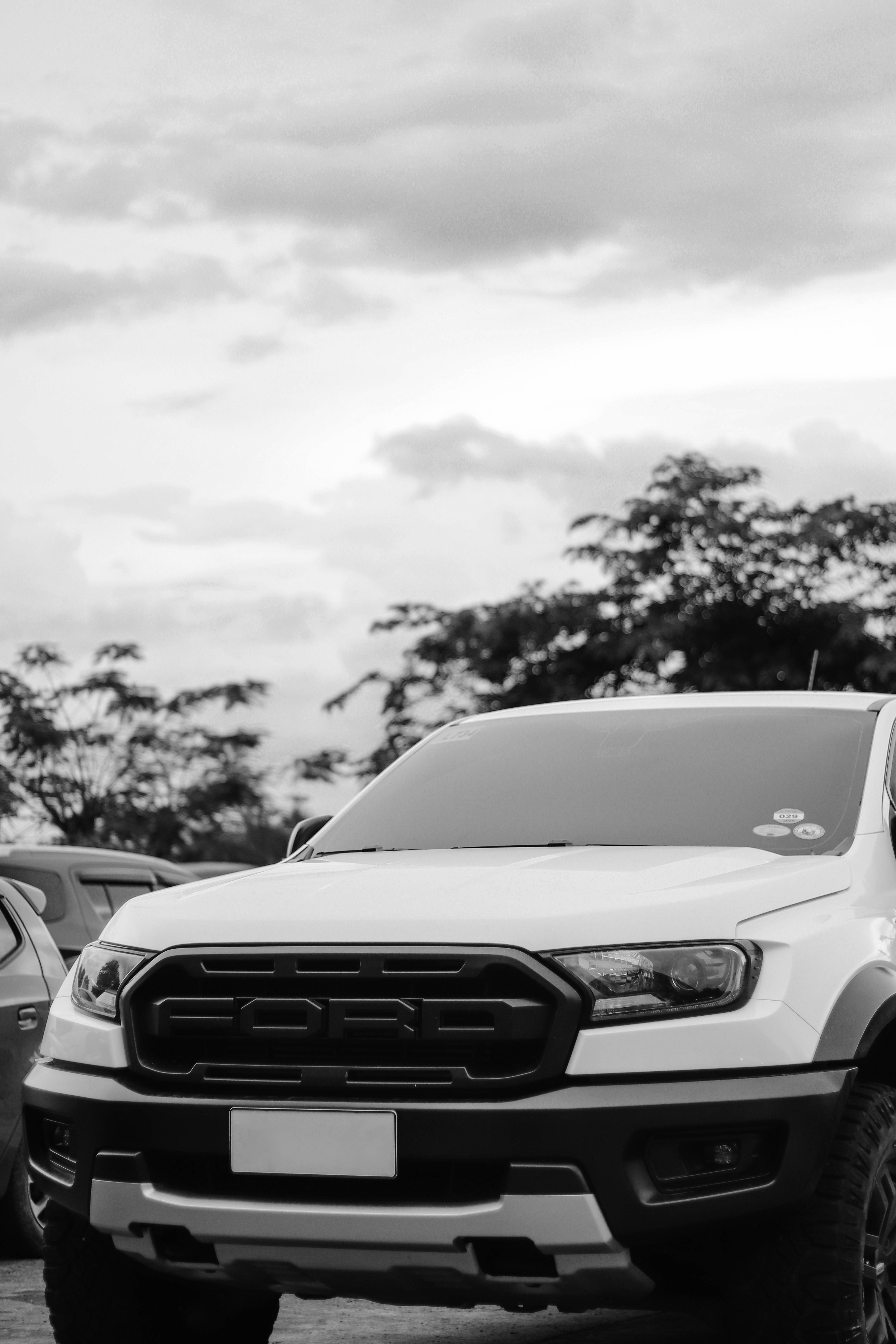 灰階福特Raptor 壁紙 — 一輛白色福特皮卡車在戶外停泊，背景是陰天和樹木的單色特寫。