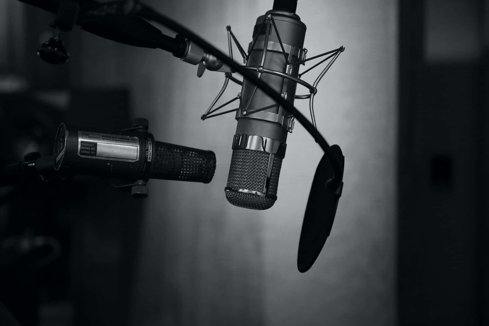 兩個錄音室麥克風懸掛在黑暗的錄音室中。