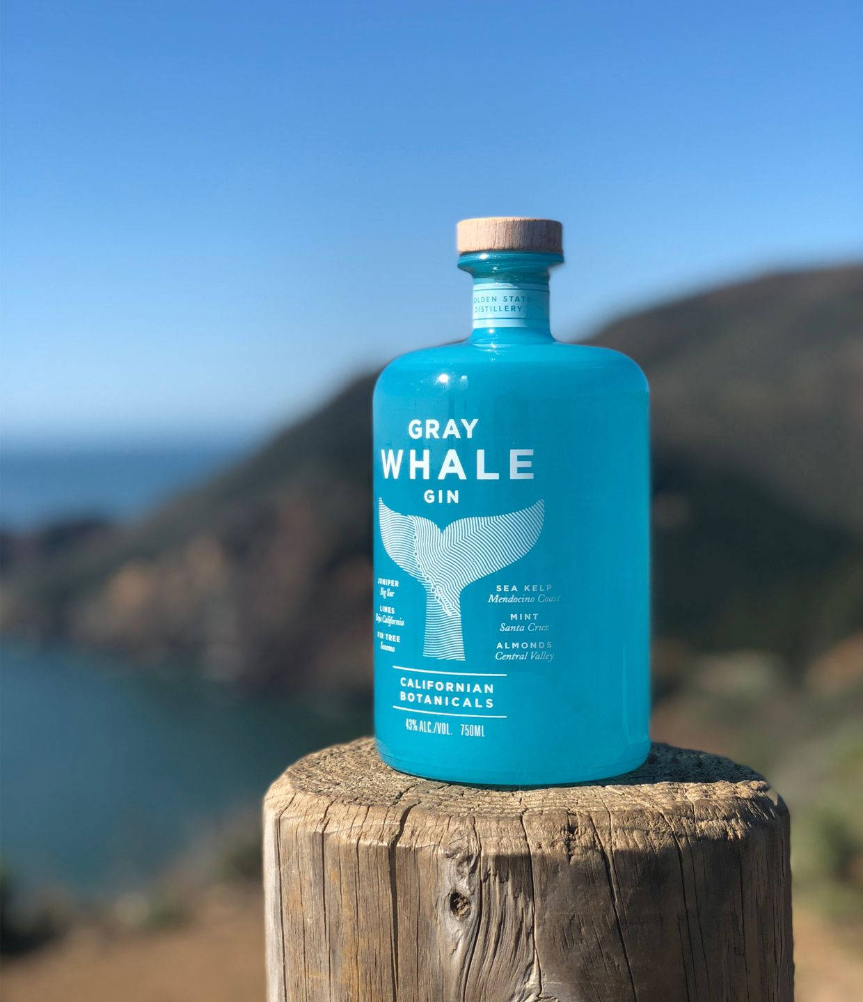 灰鯨琴酒冷冽風 壁紙 — 一瓶充滿活力的藍綠色琴酒瓶，標籤為 Gray Whale Gin，放在一根風化的木柱上，背景是模糊的海岸風光。