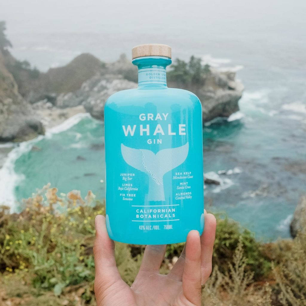 灰鯨金酒美學風景 壁紙 — 一隻手拿著明亮的藍色Gray Whale Gin酒瓶，背景是霧氣瀰漫的海岸懸崖和翻騰的碧綠海浪。