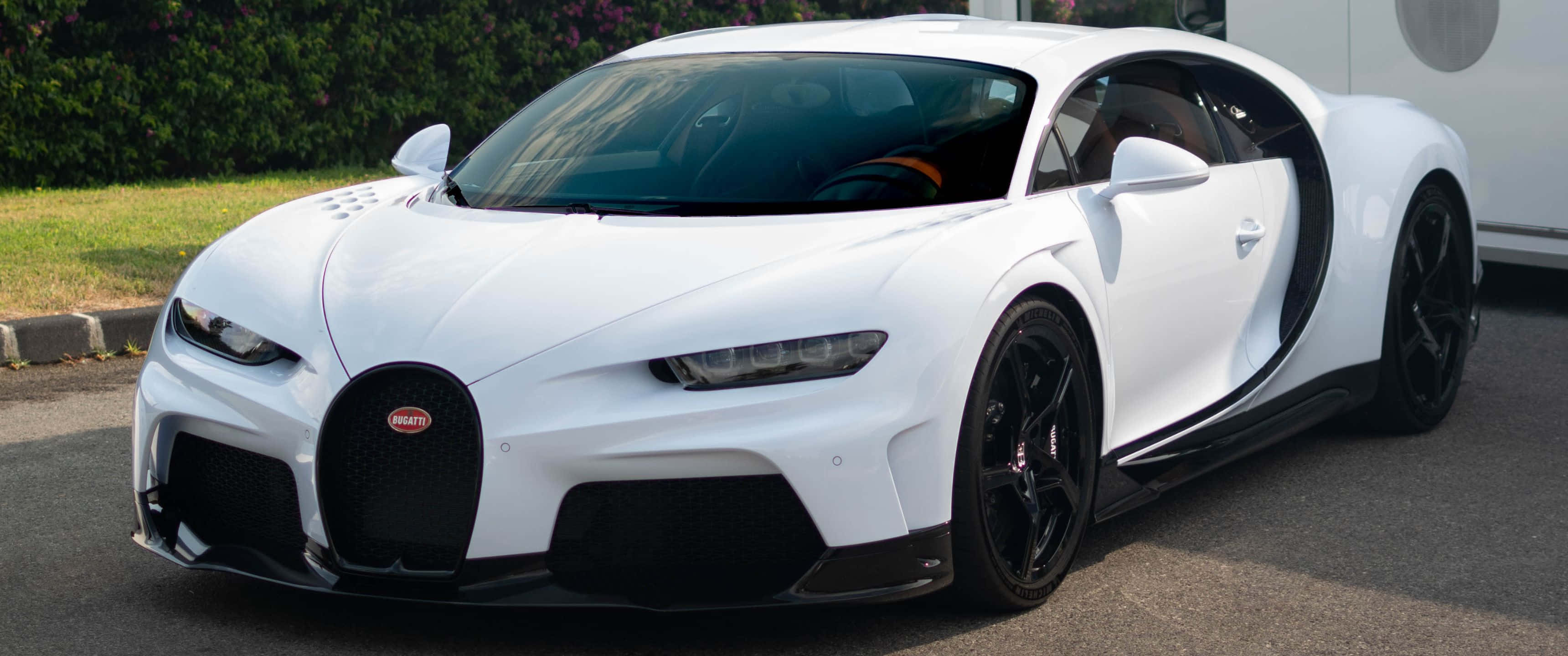 炫目的紅色 Bugatti Veyron，極致運動跑車 壁紙 — 一輛純白色的Bugatti Chiron停在瀝青路上，剪刀門打開，背景是綠色樹籬。