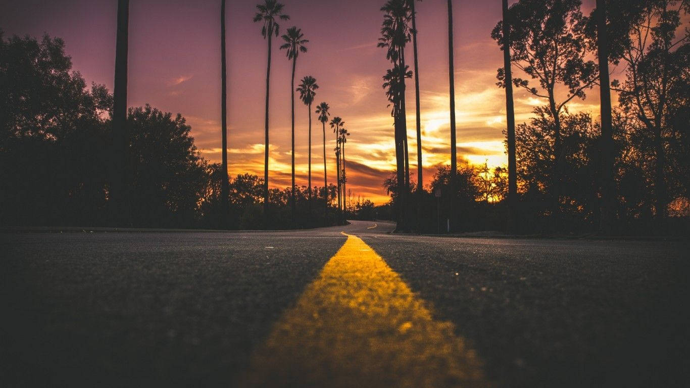 炫目霓虹黃抽象藝術 壁紙 — 日落時分蜿蜒的道路，兩旁是高聳的棕櫚樹，發光的黃色中心線通向地平線。