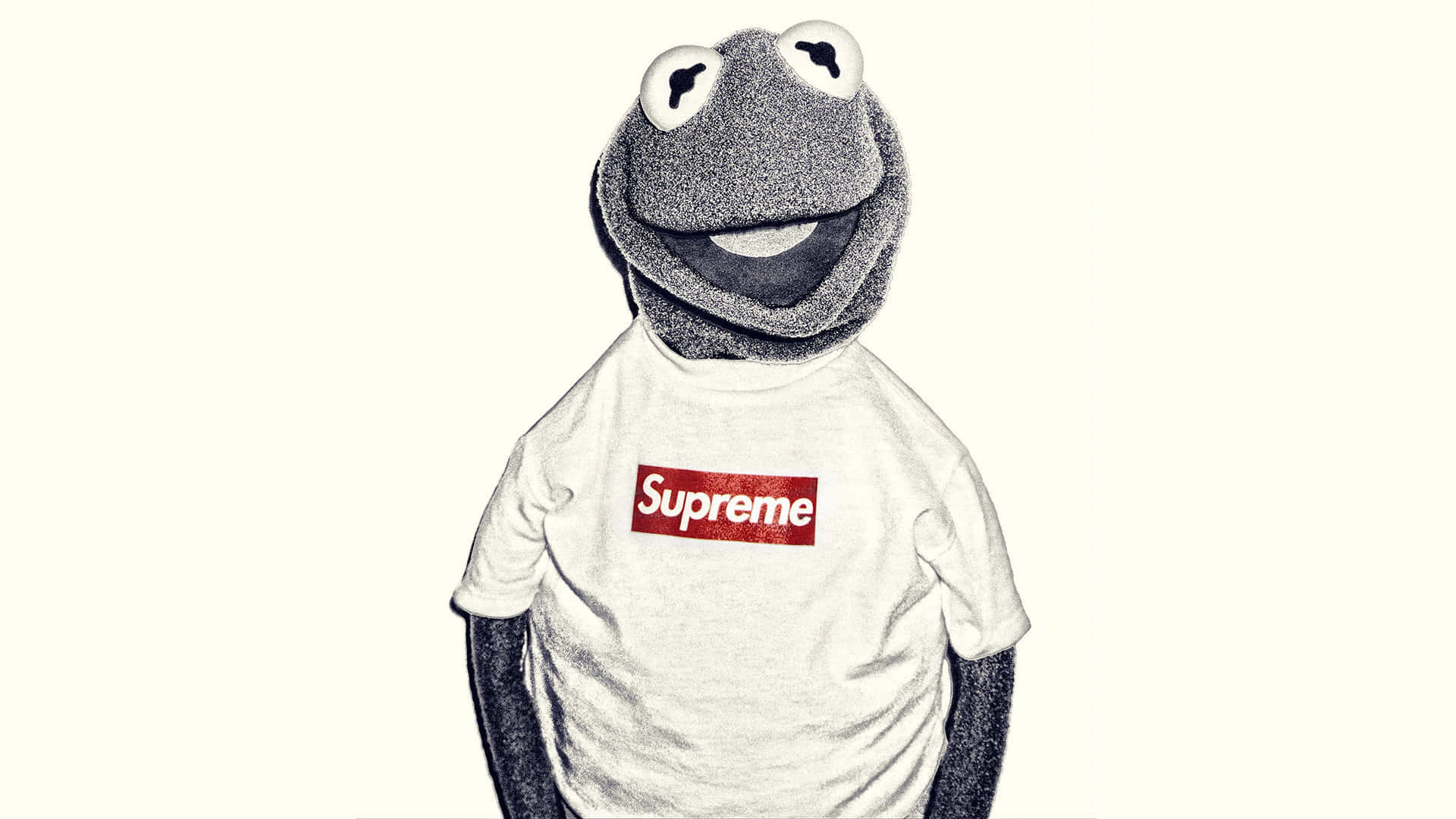 青蛙柯密特穿著白色Supreme T恤，帶有素描風格的陰影。