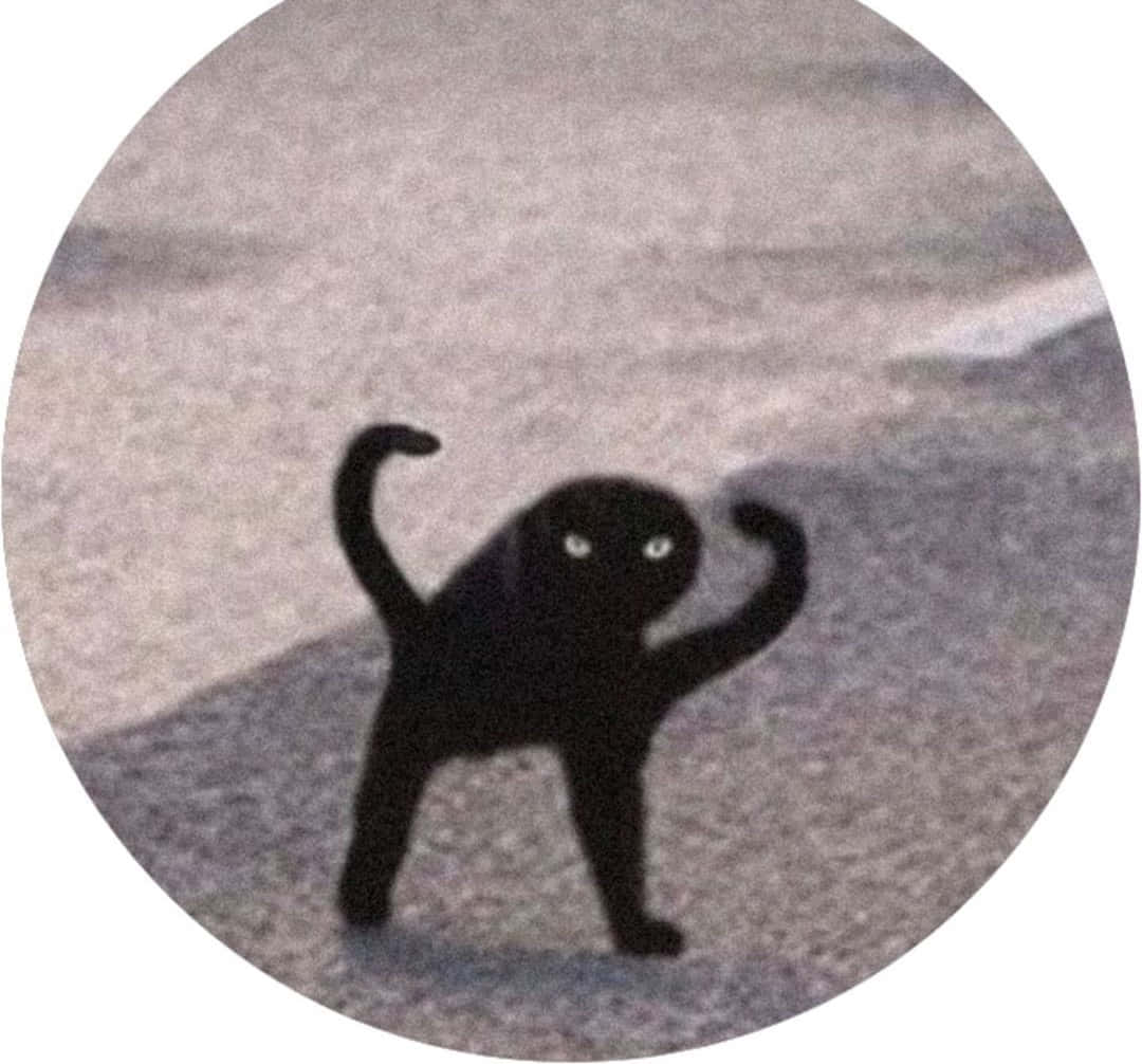 一隻黑貓在人行道上彎曲手臂
