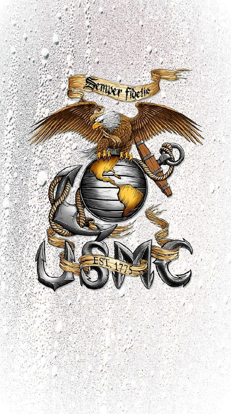 為國家驕傲守護 壁紙 — 一個詳細的美國海軍陸戰隊徽章，上面有一隻鷹棲息在地球儀上，帶有錨和繩索，背景是紋理濕牆。