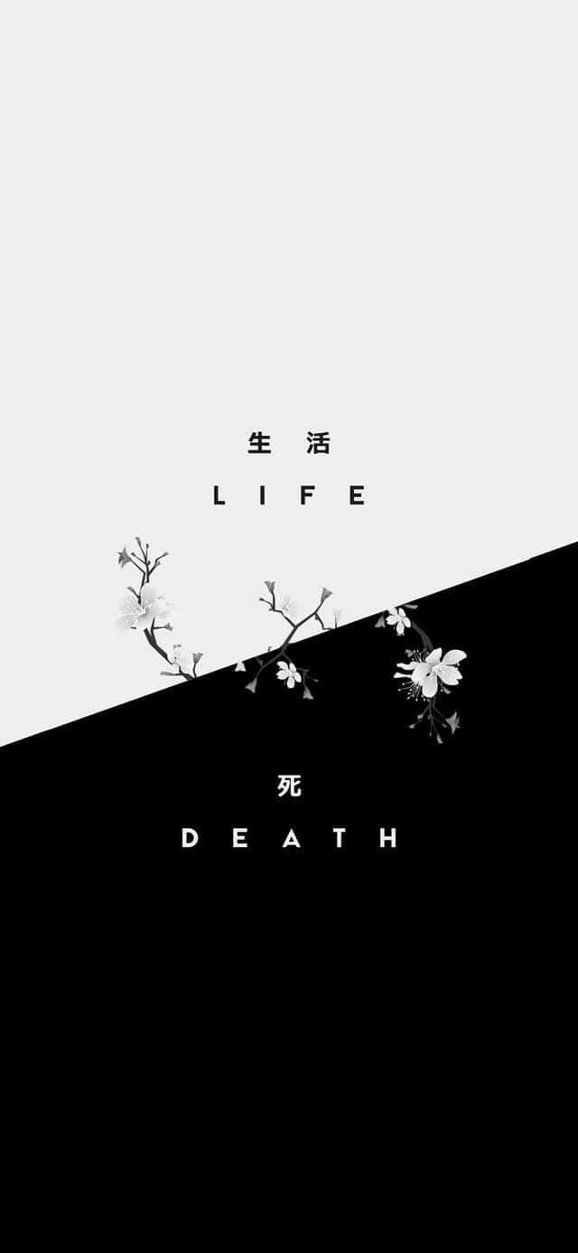 以櫻花象徵生與死的黑白分割畫面。