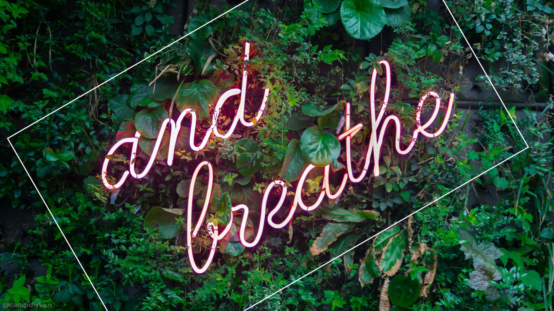 粉紅色霓虹燈牌寫著「and breathe」，被綠色樹葉包圍。