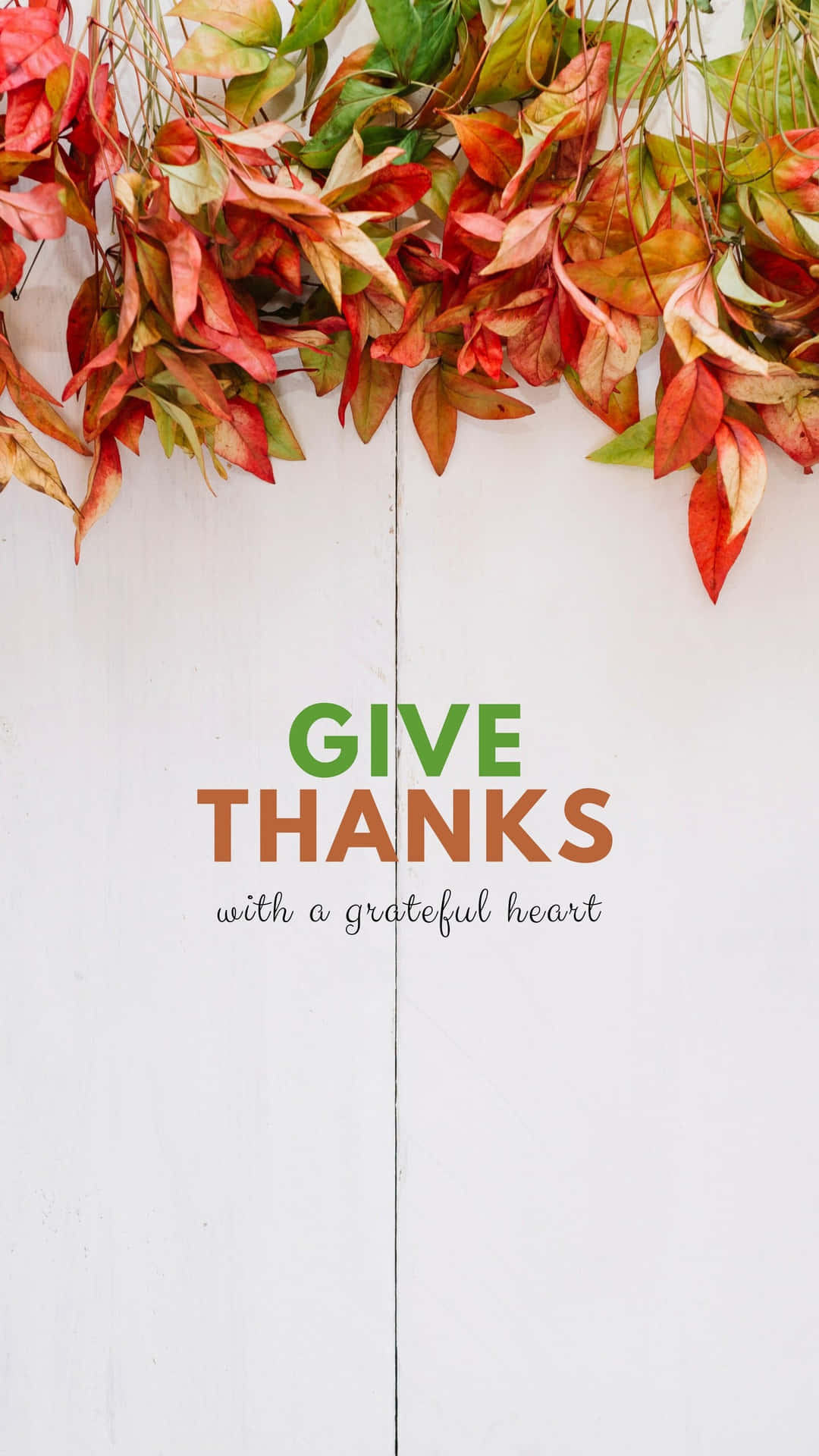 白色木質背景上帶有「Give Thanks」文字的秋葉。