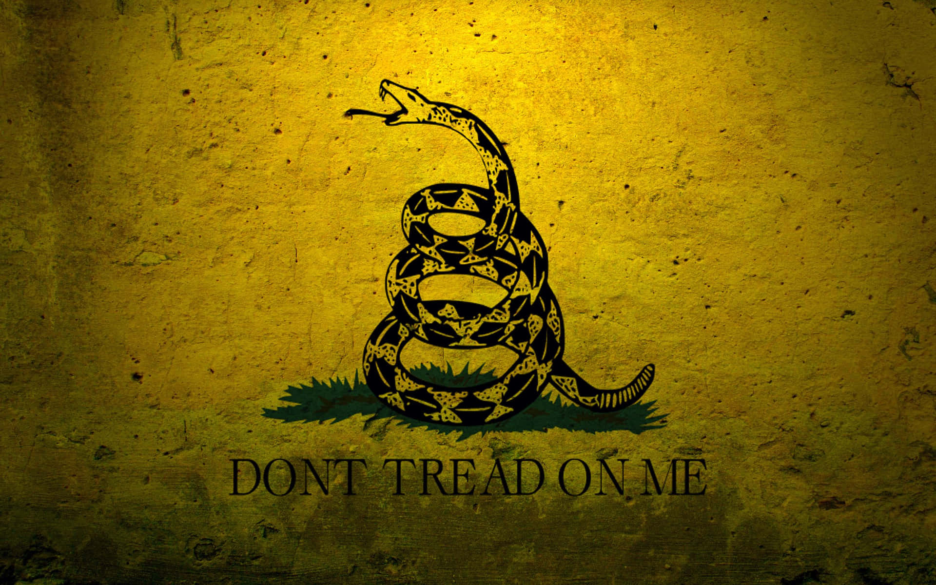 盤繞的響尾蛇抬起頭，黃色紋理背景，文字「DONT TREAD ON ME」
