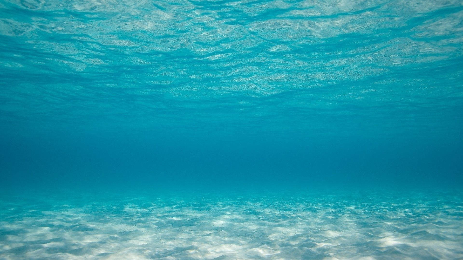 陽光穿過碧綠的海水照射到沙底。