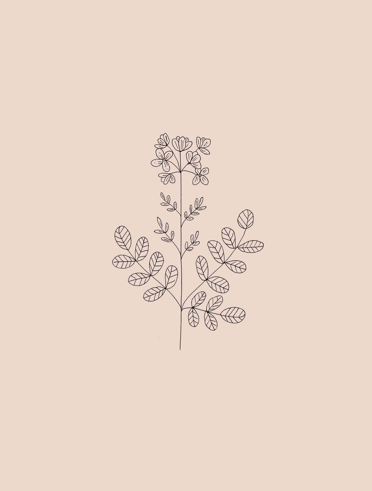 簡約線條藝術，植物帶有葉子和花朵，米色背景。
