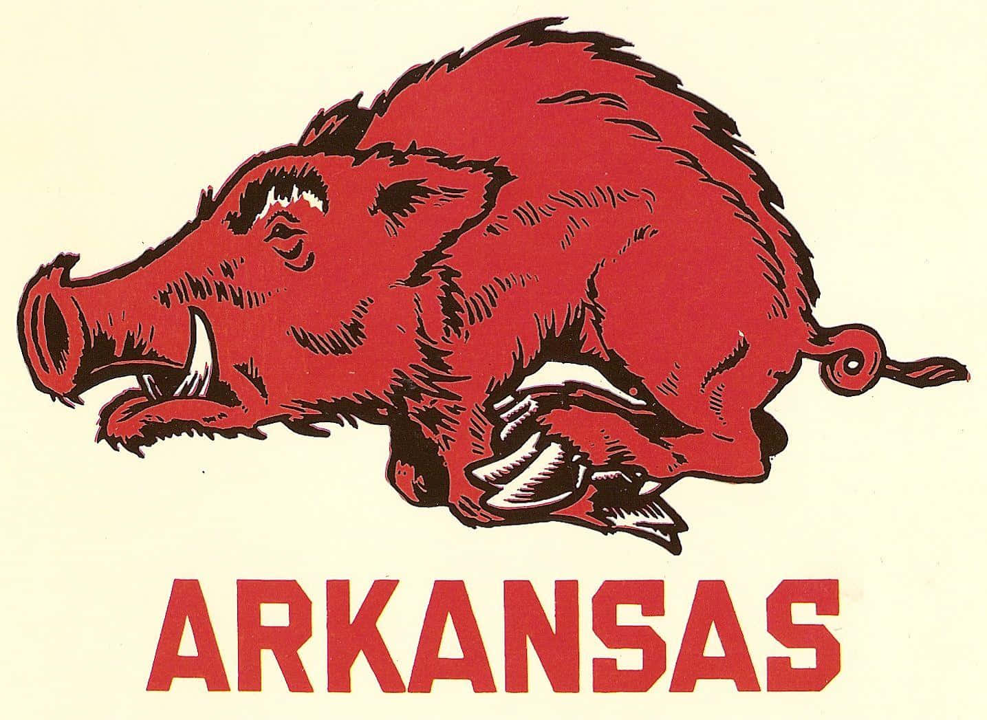 紅色插圖野豬吉祥物，下方有「ARKANSAS」文字。