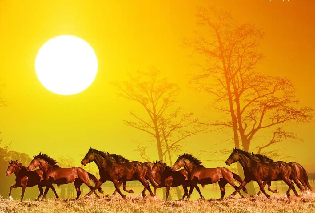 日落時分，一群馬匹在金色田野中奔跑，伴隨著光禿的樹木。