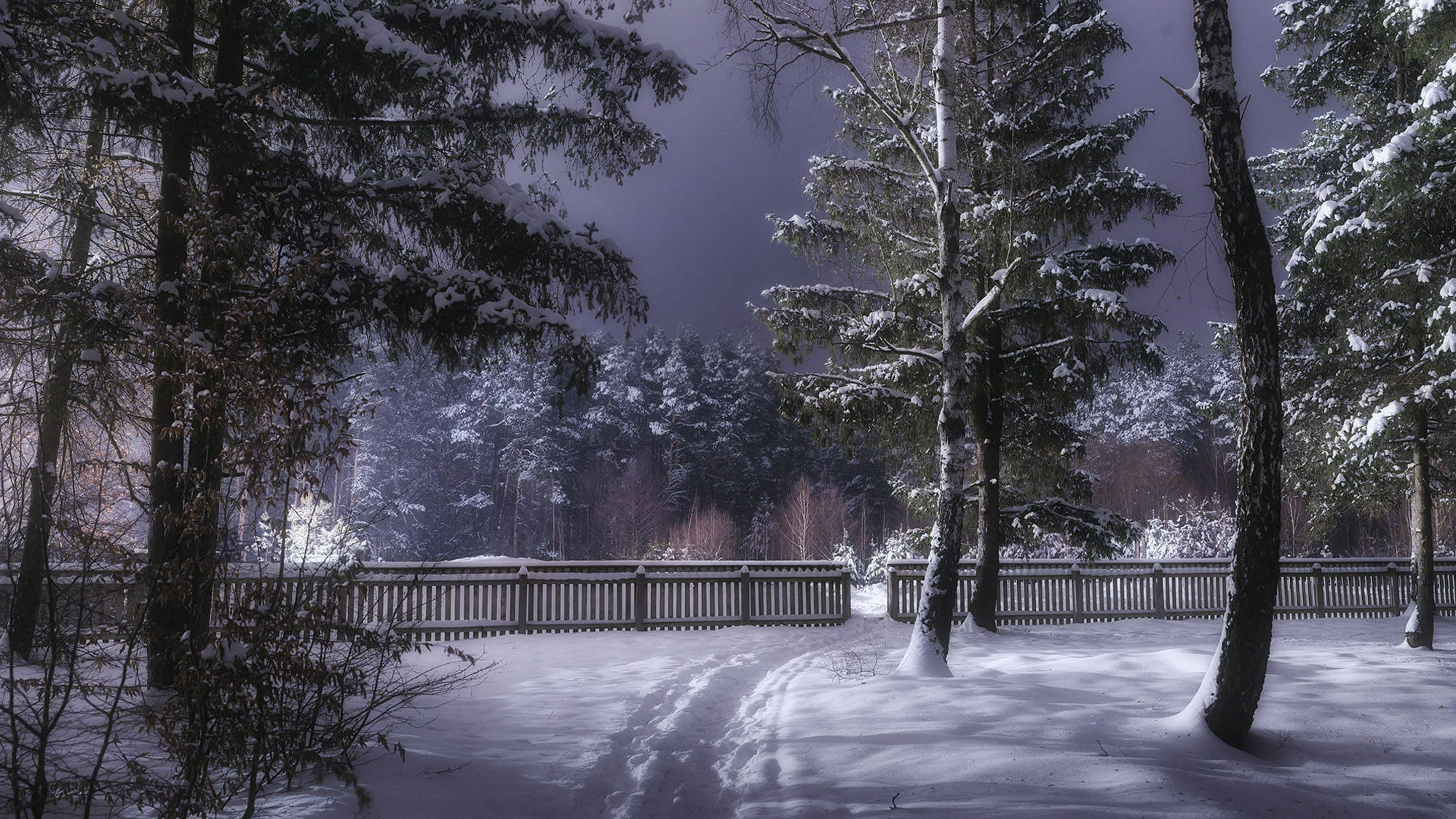 烏克蘭森林小徑 壁紙 — 白雪覆蓋寧靜的森林小徑，夜晚時分，腳印在黑暗天空下通向木柵欄。