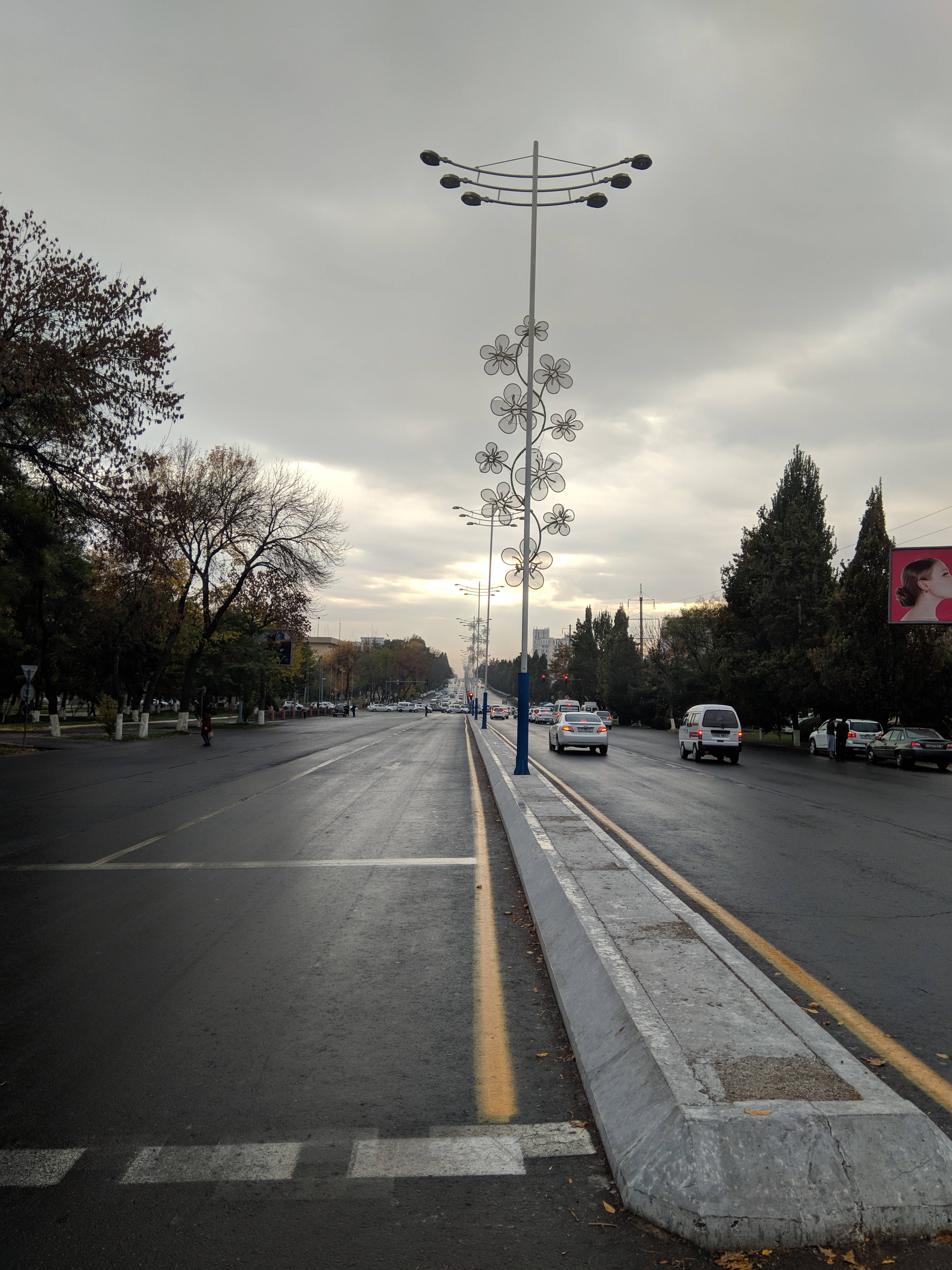 烏茲別克斯坦塔什干陰鬱道路 壁紙 — 一條濕漉漉的城市街道在陰天延伸，裝飾性的花朵形路燈和秋天的樹木排列在路邊。