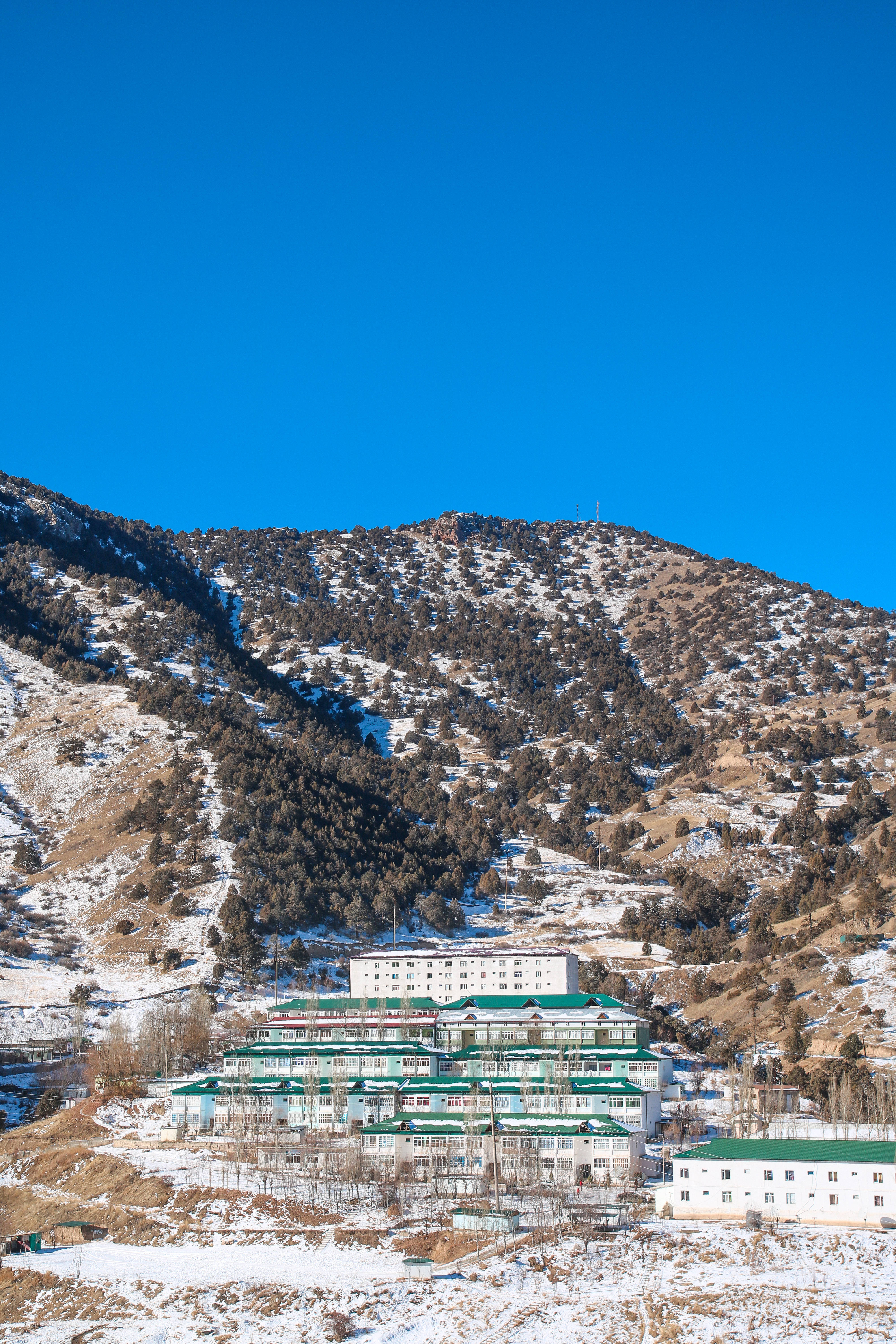 烏茲別克斯坦欽甘山麓酒店 壁紙 — 白雪覆蓋的山脈在晴朗藍天下，聳立於一群綠色屋頂的白色建築物後方。