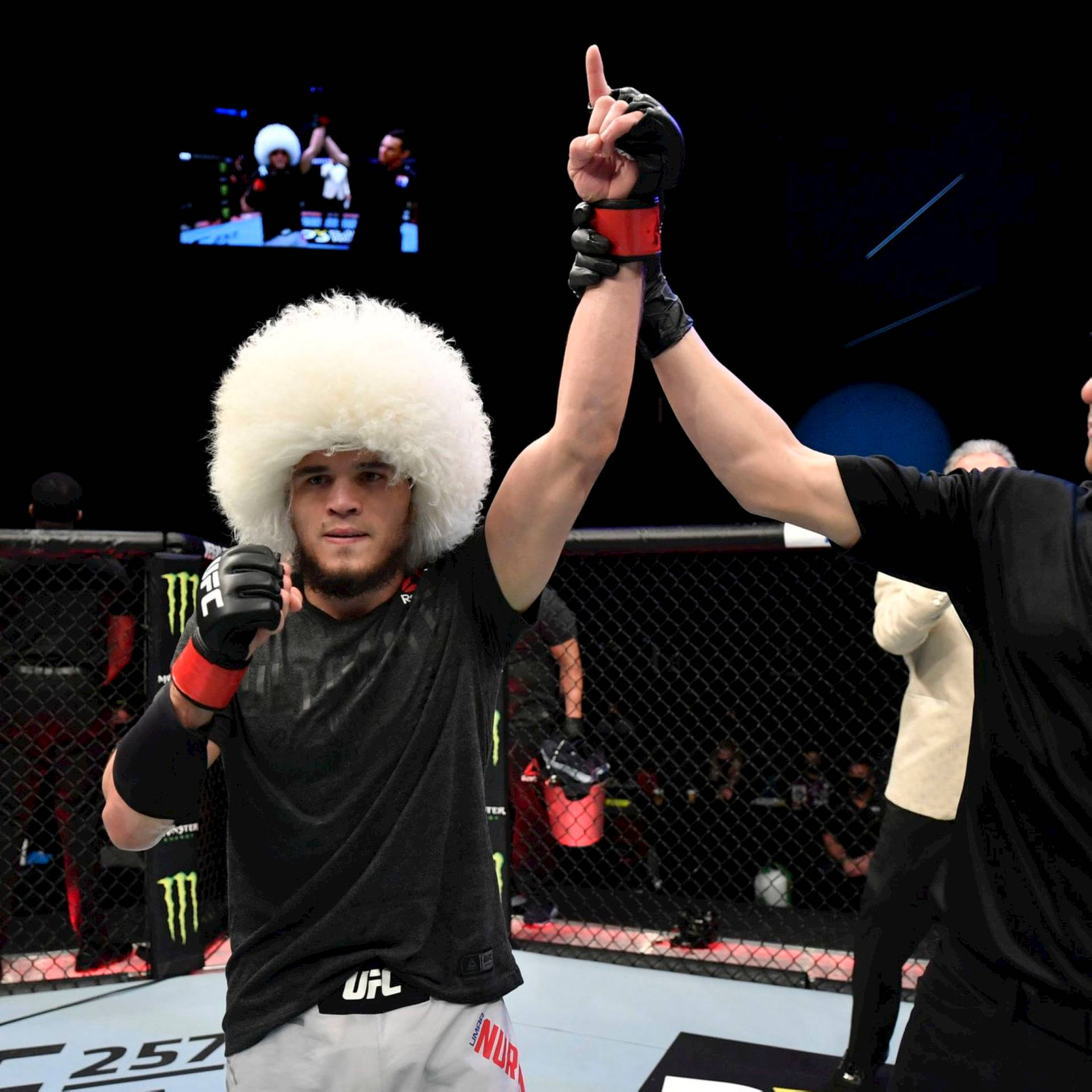 戴白色毛帽的UFC拳手在裁判舉臂下慶祝勝利。