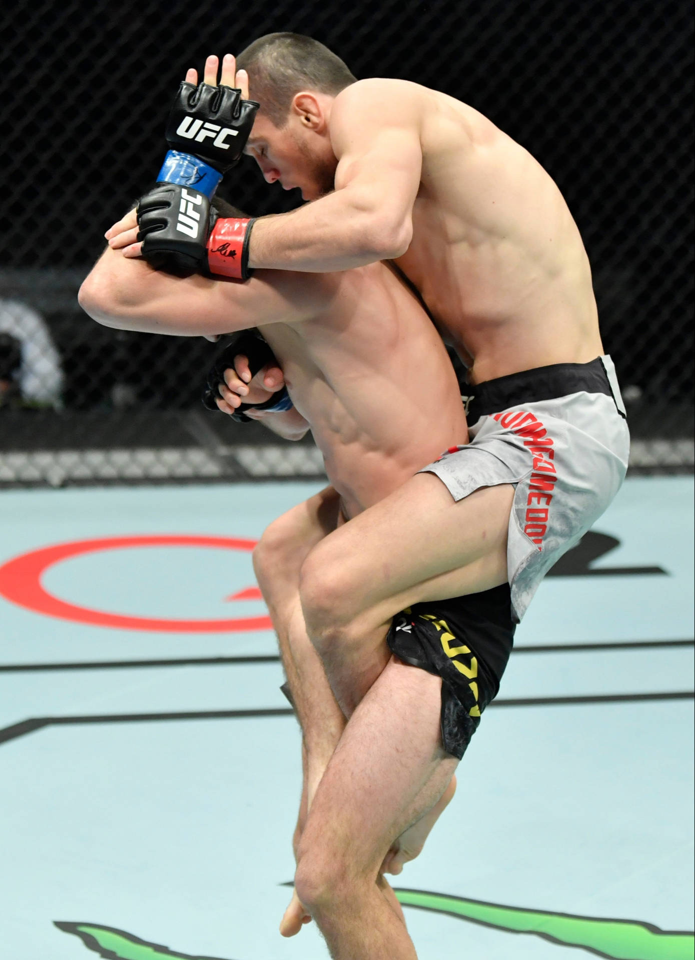 兩名拳手在UFC八角籠內陷入纏鬥。