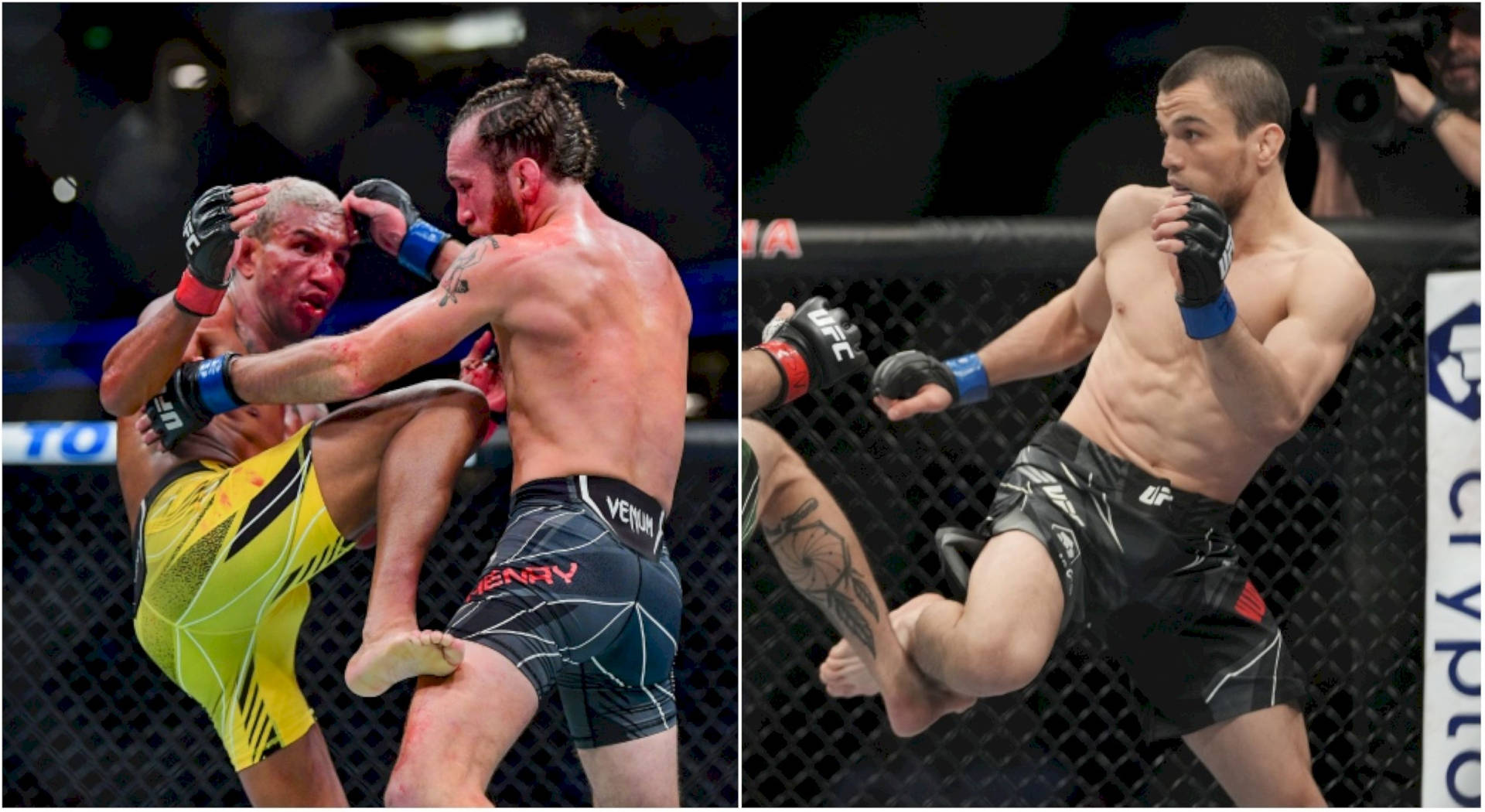 兩名男性MMA拳手在八角籠中進行高踢交換。