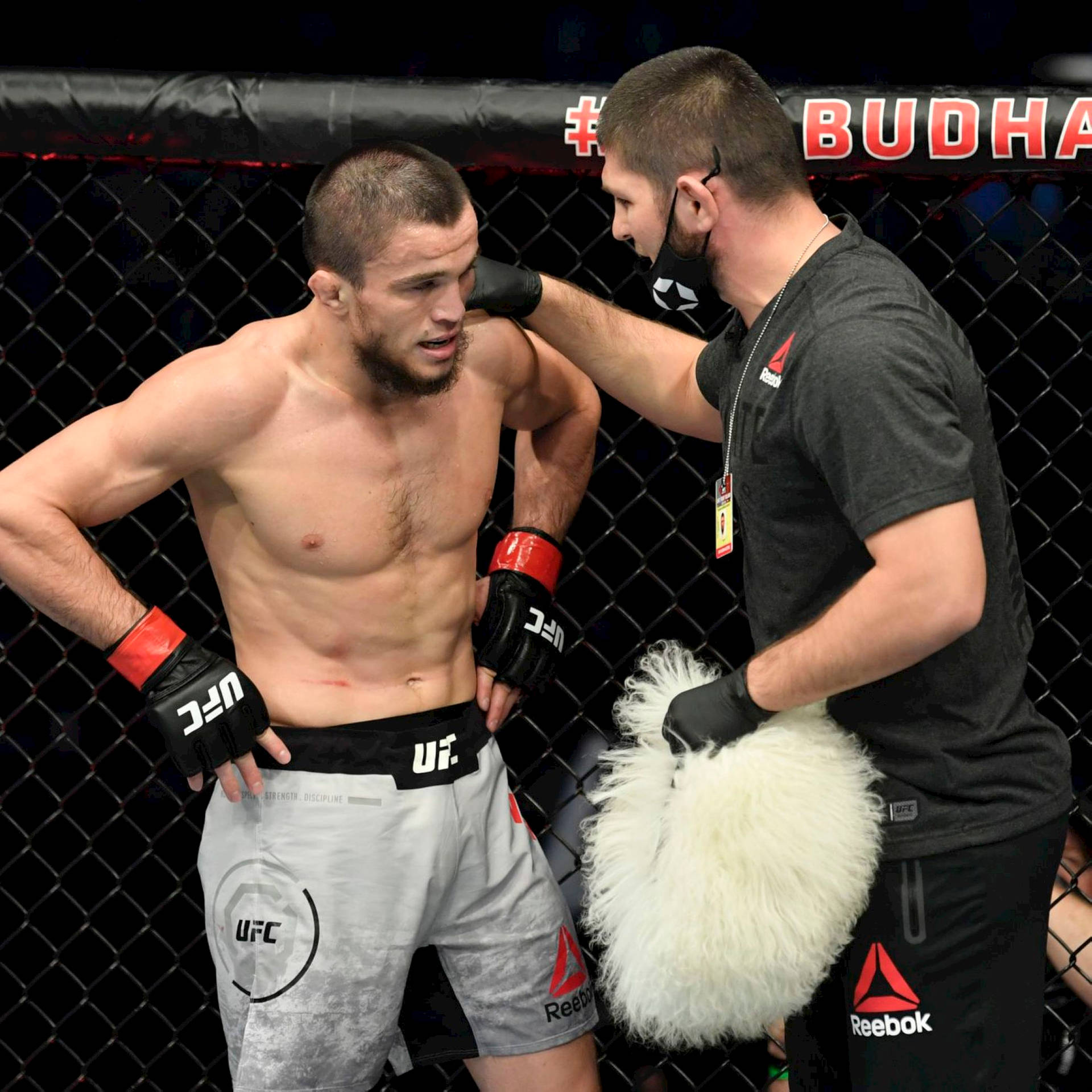 UFC拳手在八角籠內被教練用蓬鬆毛巾降溫