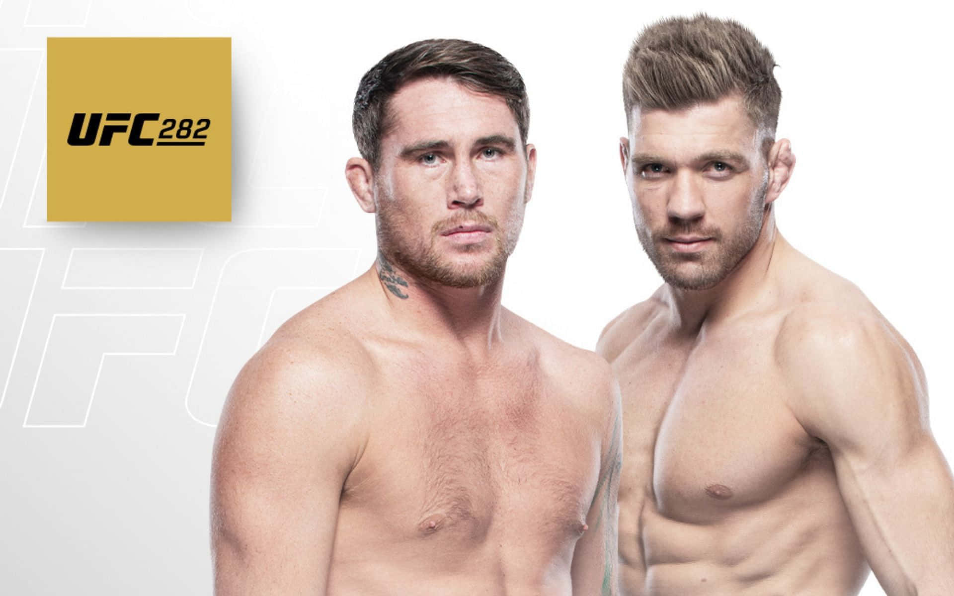 無上衣Dricus Du Plessis與Darren Till 壁紙 — 兩名肌肉發達的UFC拳手在純白色背景和金色UFC 282標誌前凝視鏡頭。