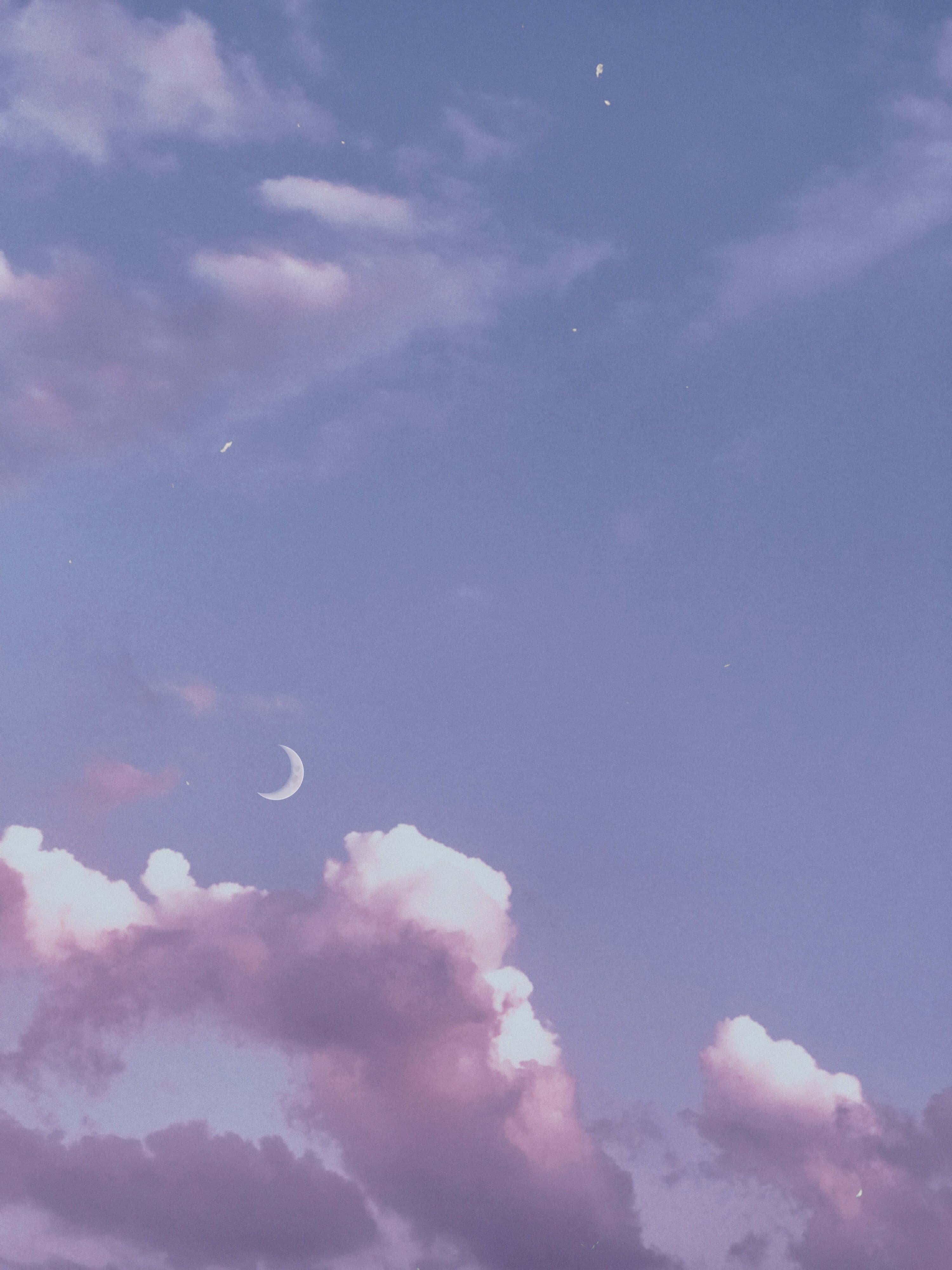 無盡天空的景觀 壁紙 — 寧靜的暮色天空，柔和的紫色雲朵，一彎精緻的月牙在上方溫柔地發光。