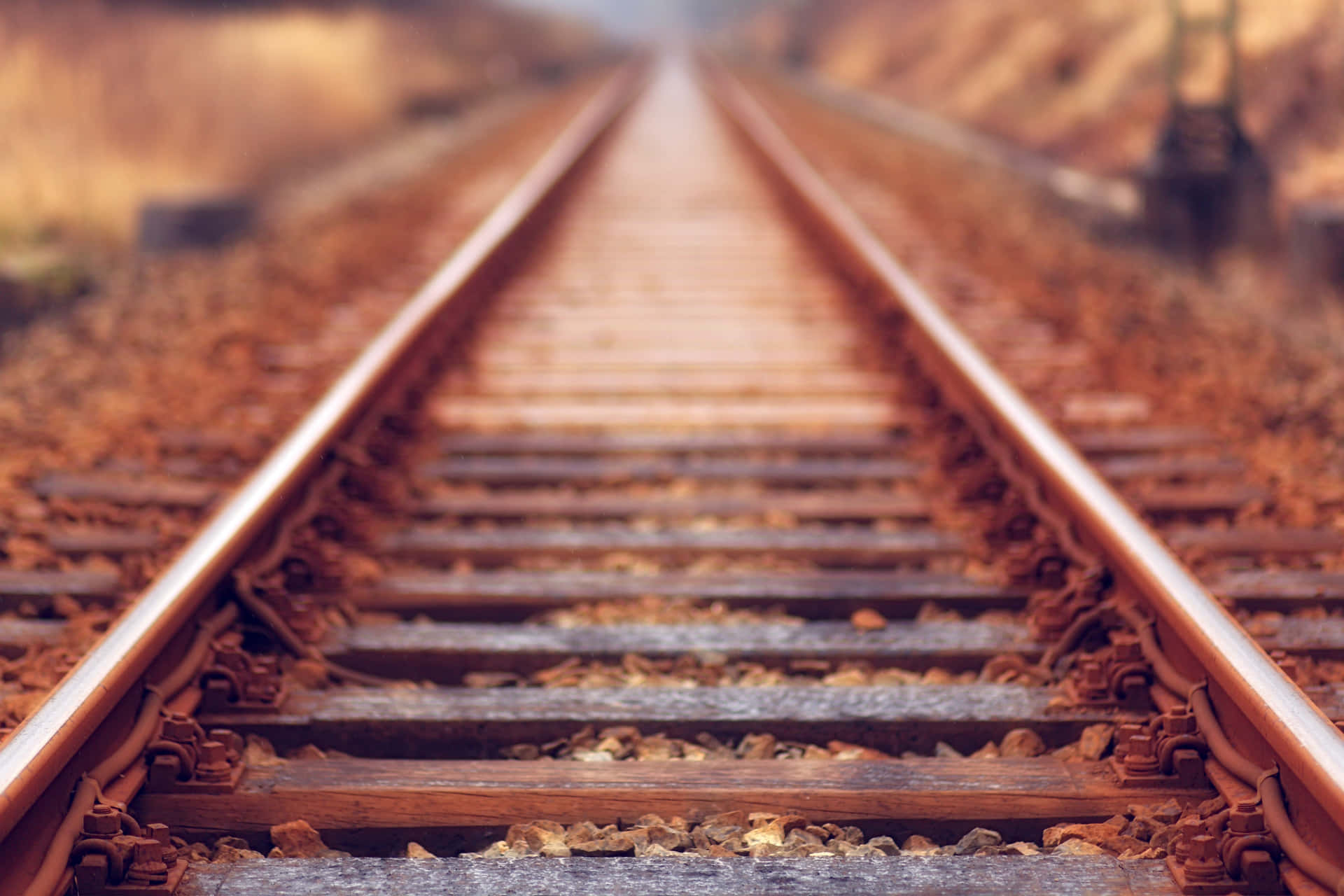 生鏽的火車軌道逐漸消失在模糊的秋日景色中。