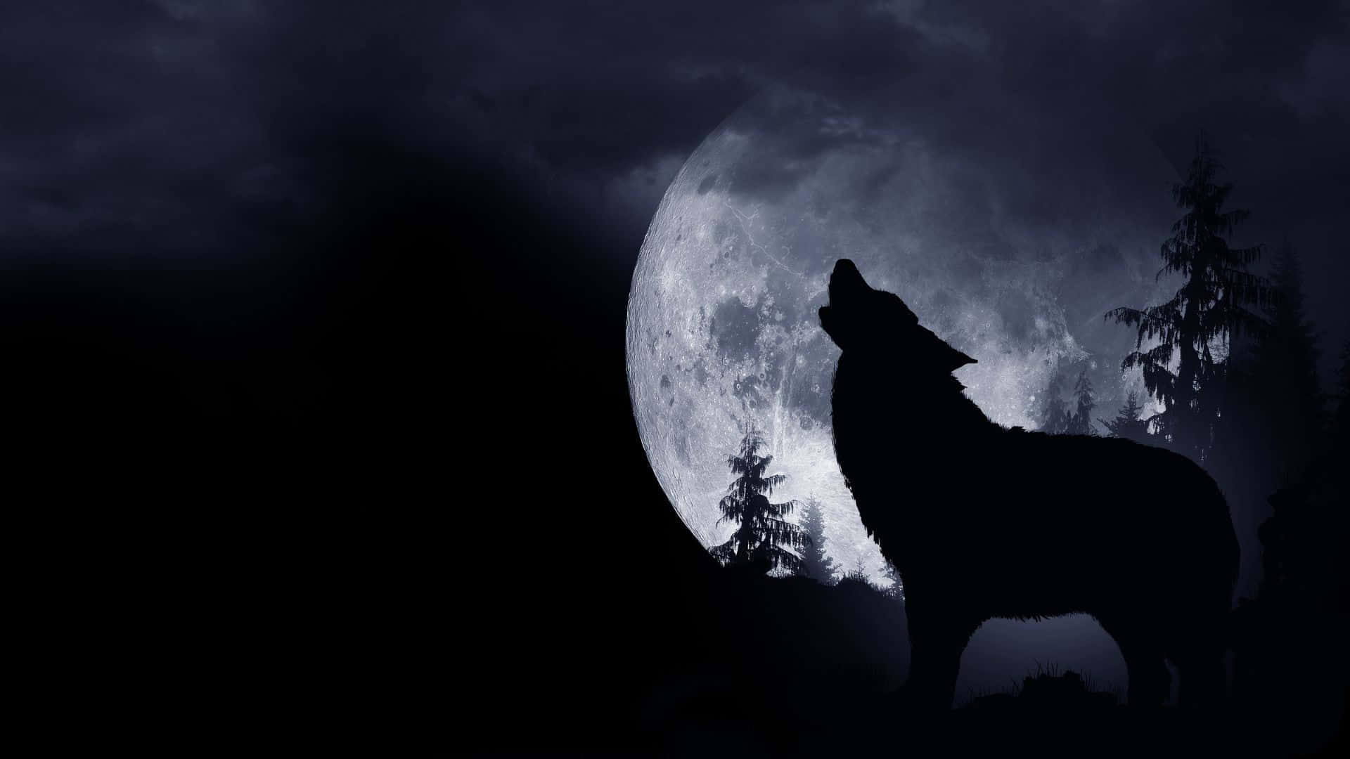 狼在夜間森林中對著滿月嚎叫