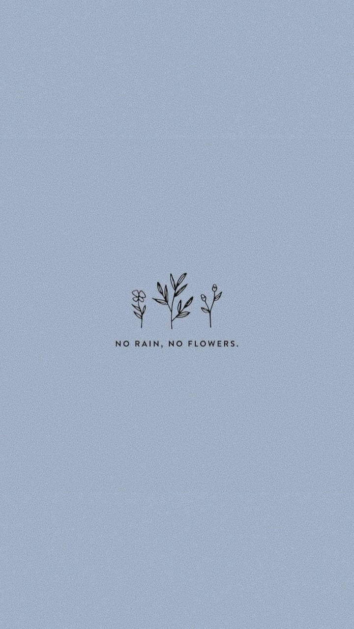 三棵線條畫植物，帶有文字 no rain no flowers，背景為藍色。