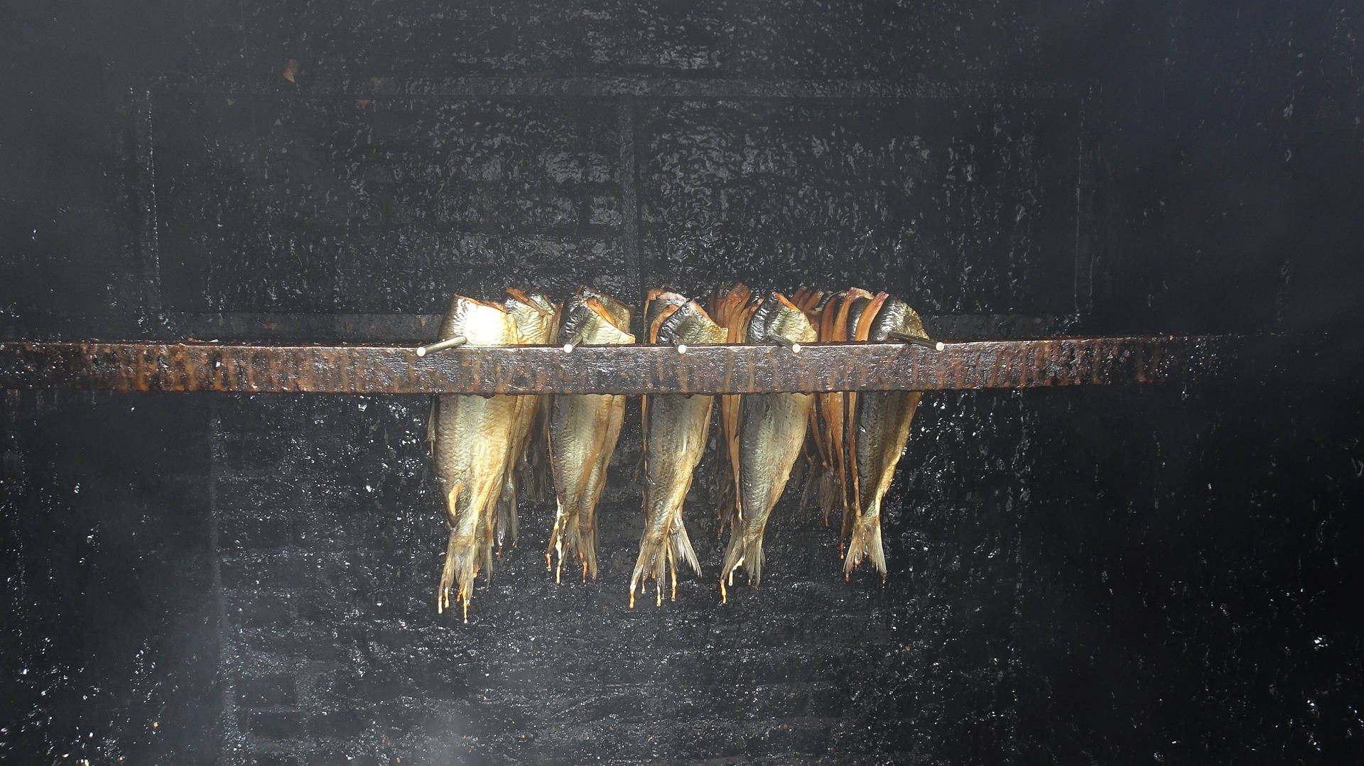 無骨鯡魚的乾燥過程 壁紙 — 魚掛在生鏽的金屬棒上，在煙霧瀰漫的黑暗燻製廠中晾乾，水滴落下。
