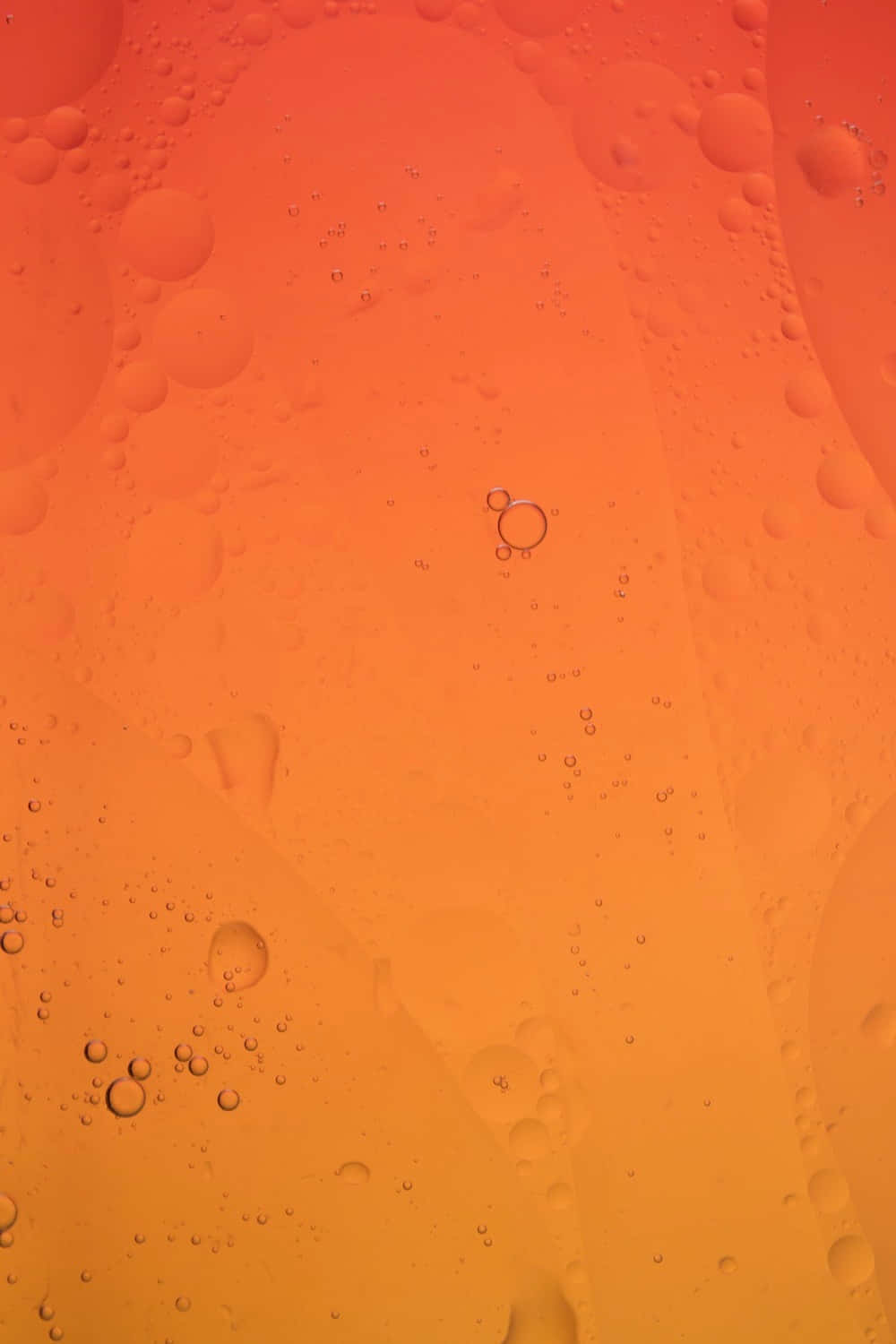 焦糖橙色背景，氣泡飲料圖案 壁紙 — 充滿活力的橙色漸變，帶有漂浮的半透明油泡，營造出迷人的抽象紋理。