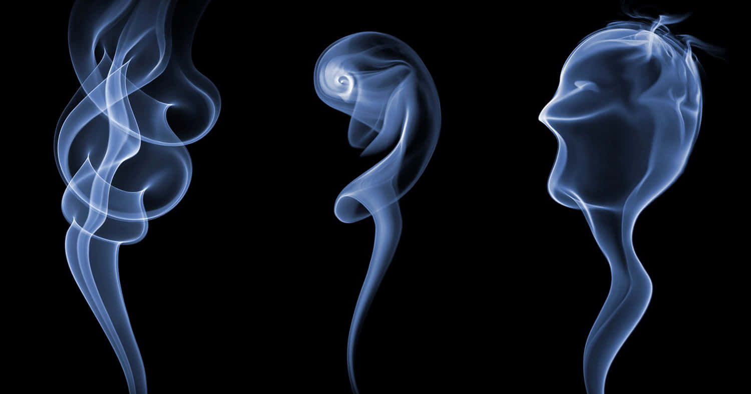 三種藍色煙霧形態在黑色背景上形成抽象的人類側影