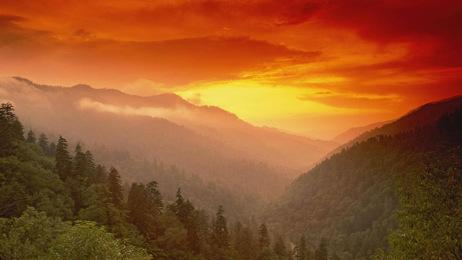 夕陽籠罩霧氣山巒，下方茂密森林
