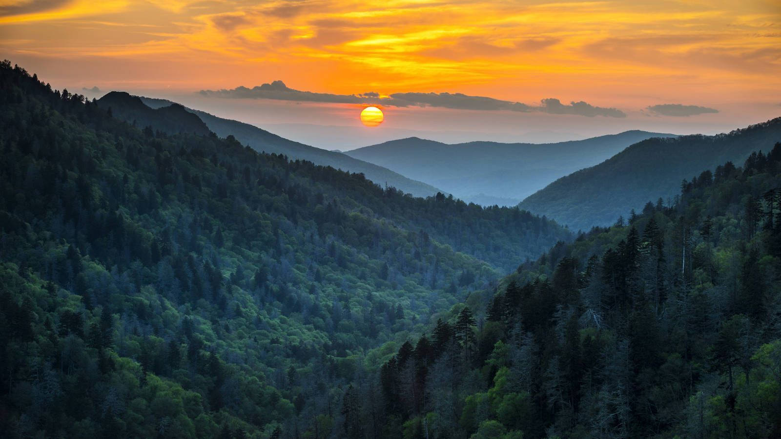夕陽映照森林覆蓋的山脈，層層山脊與橙色天空