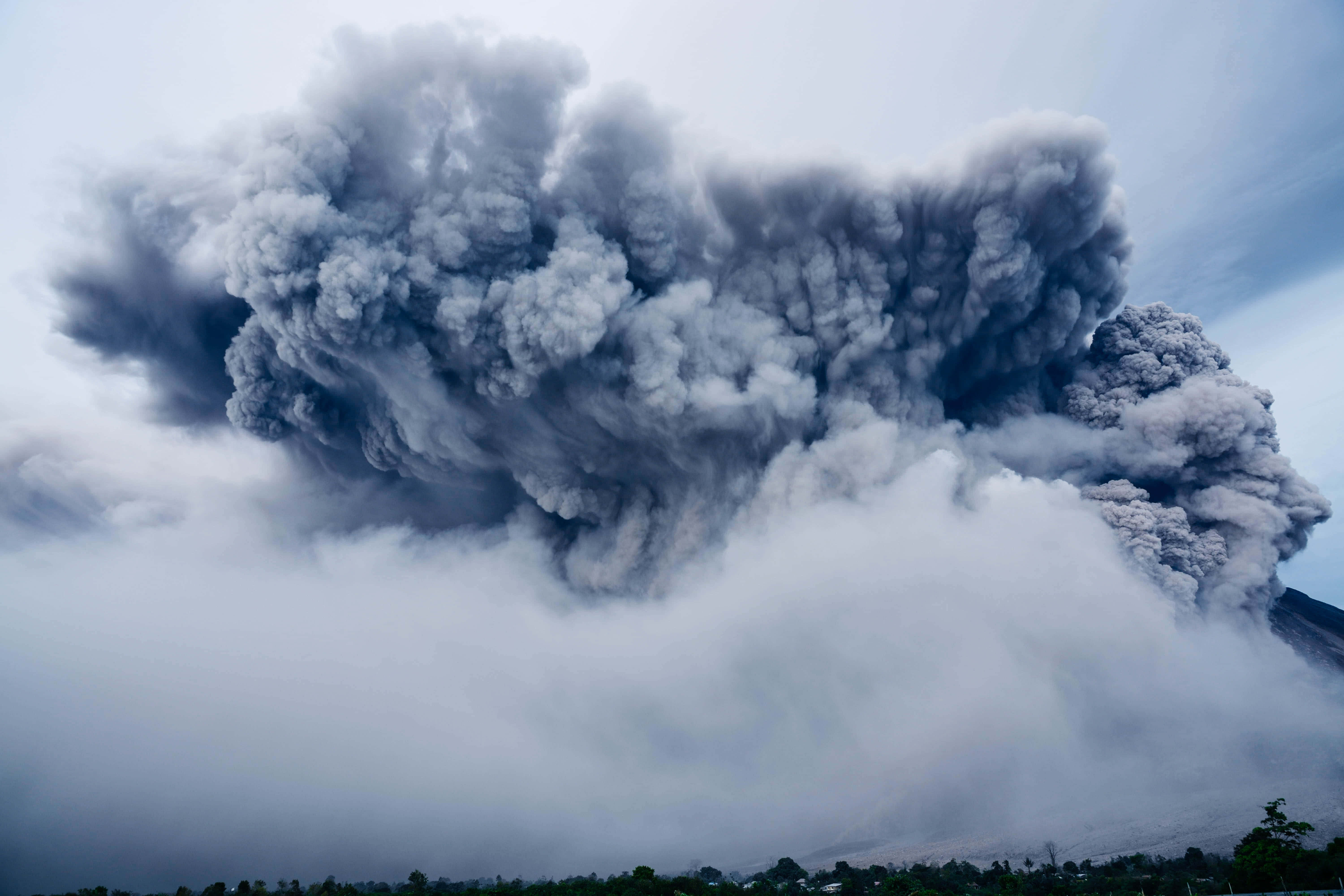 煙霧熊凝視茂密針葉林 壁紙 — 巨大的深色火山灰柱從火山噴出，火山主宰著遠處樹線上方多雲的天空。