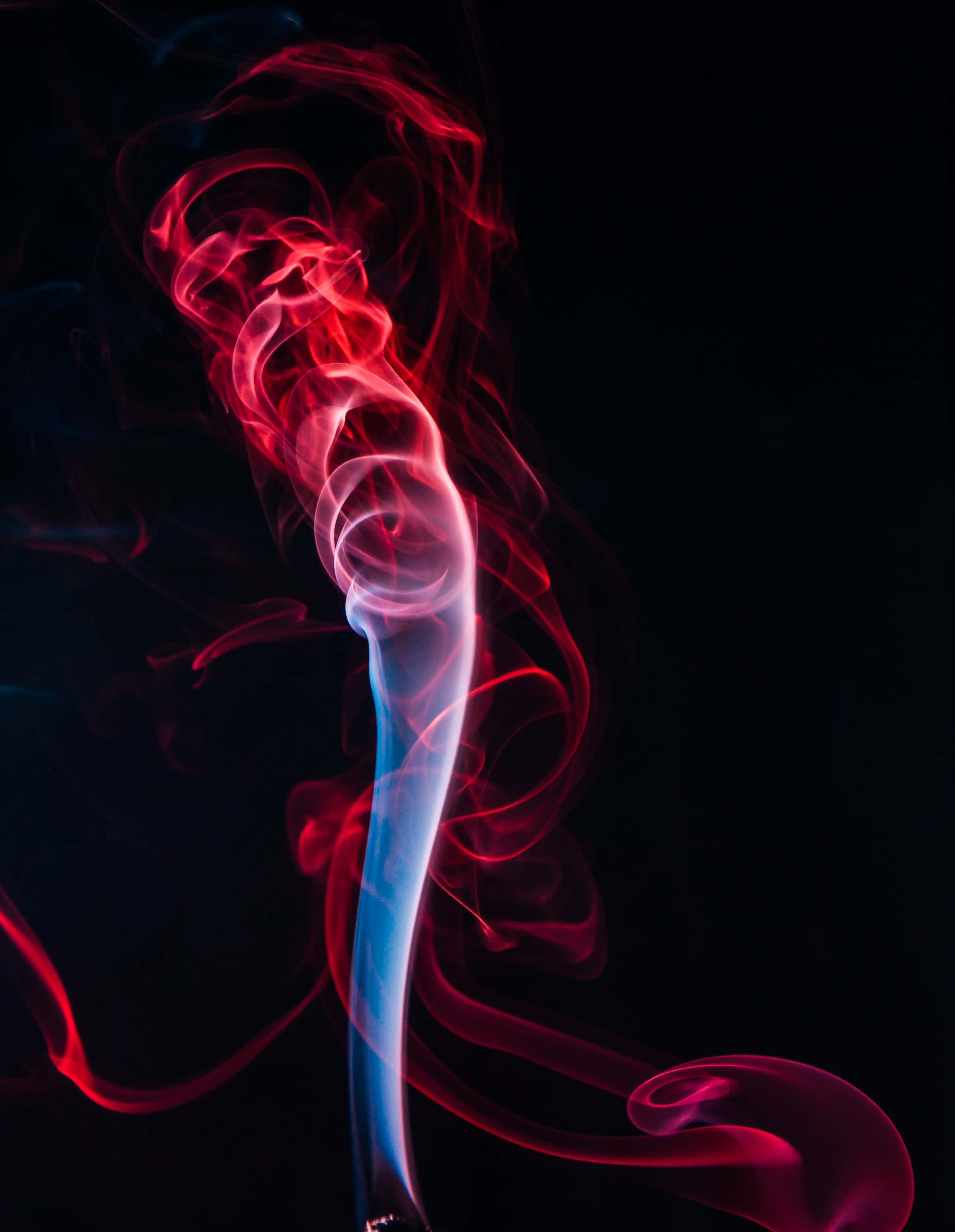 煙霧熊在美國戶外的近照 壁紙 — 鮮豔的紅色和藍色煙霧在深黑色背景上優雅地旋轉，形成迷人的抽象舞蹈。