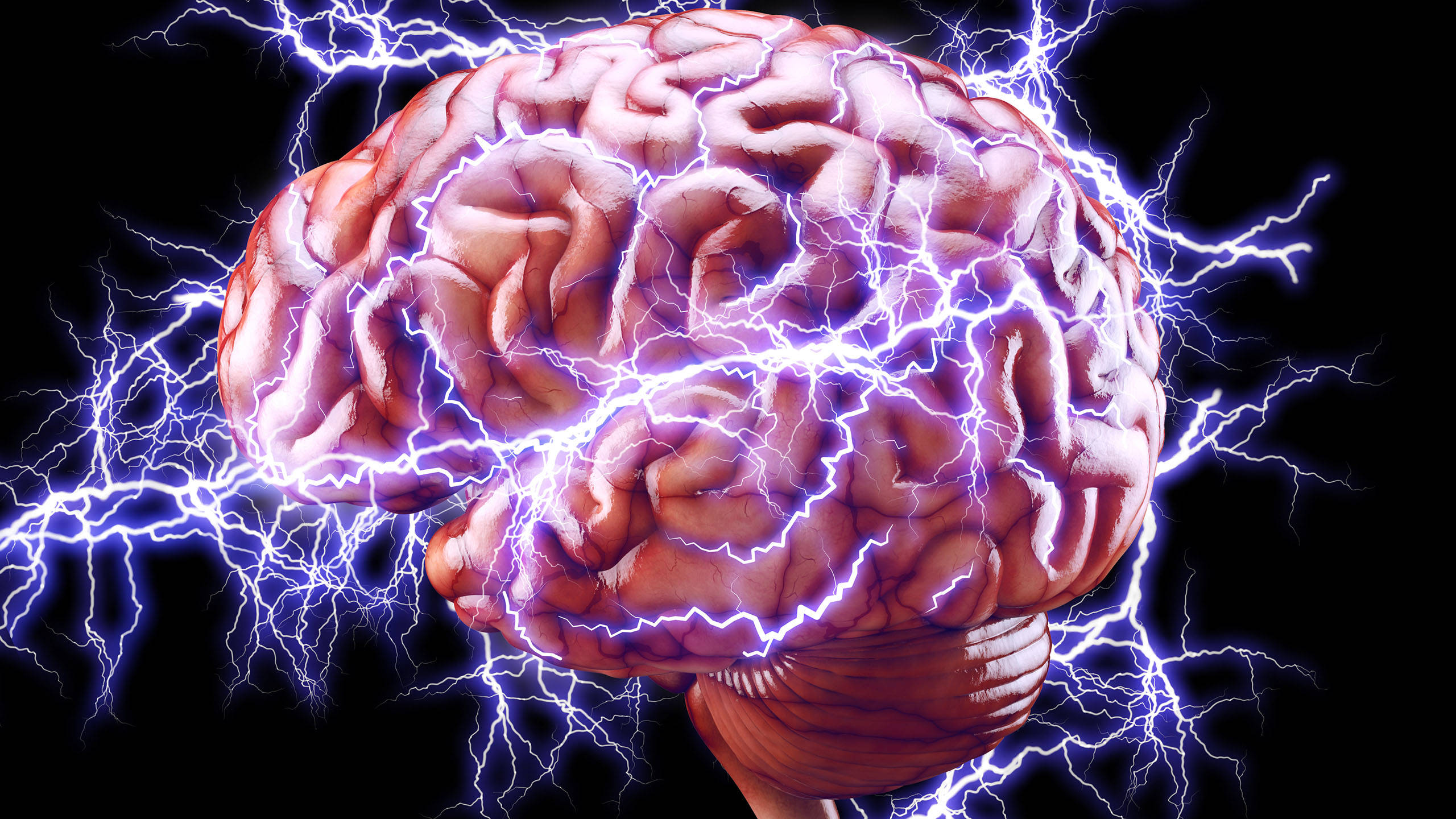 照亮大腦皮質的強大力量 壁紙 — 人腦在黑色虛空中脈動著鮮明的藍色閃電，象徵著強烈的精神活動或電風暴。