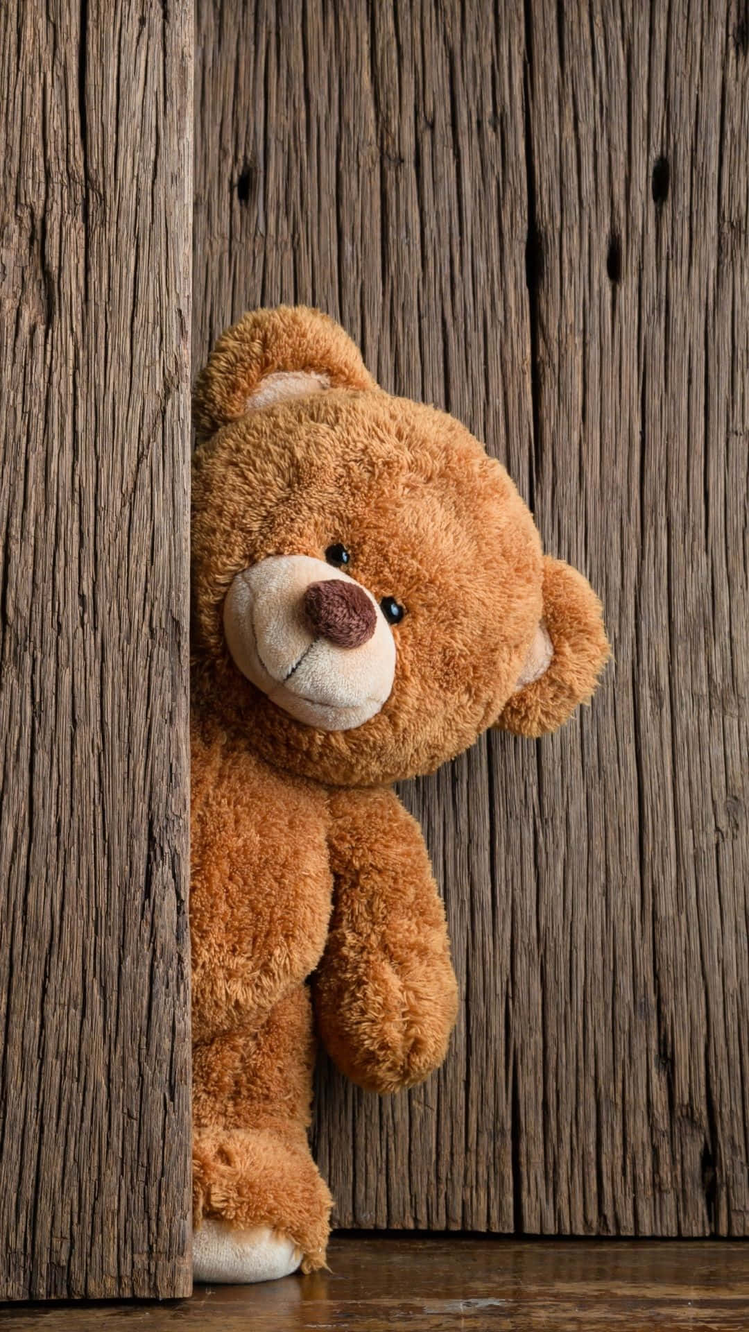 熊在叢林中自由探索 壁紙 — 一隻柔軟的棕色泰迪熊從一扇帶有紋理木紋的風化木門後好奇地探出頭來。
