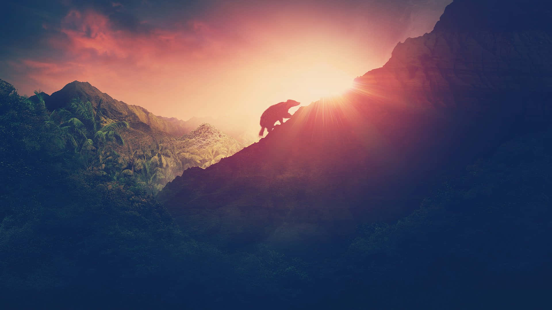 熊攀山日落自然風景 壁紙 — 一隻孤獨的恐龍剪影攀登山脊，太陽穿過雲層，在火紅的橙色和紫色天空中爆發。