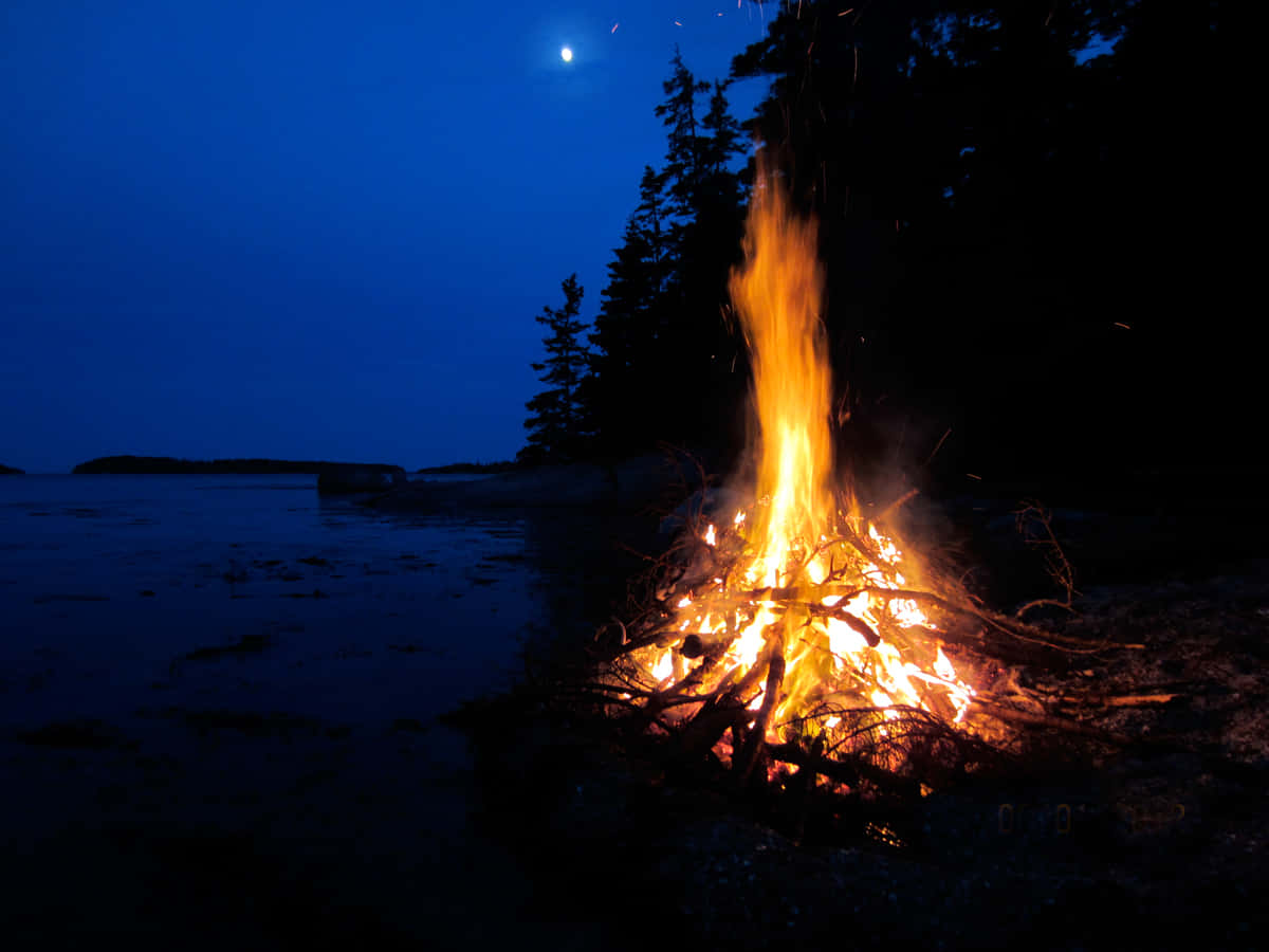 Beach Bonfire 桌布 壁紙 — 熊熊營火在月光照耀的海岸線上投下溫暖的光芒，襯托著深藍色天空下的黑暗樹木和寧靜水面。
