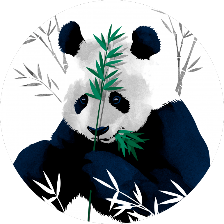 熊貓吃竹子向量藝術 壁紙 — 一隻水彩風格的熊貓在一個圓形框架內拿著一根綠色的竹莖，周圍環繞著竹子的剪影。