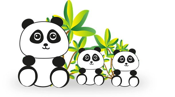 熊貓家族竹林背景 壁紙