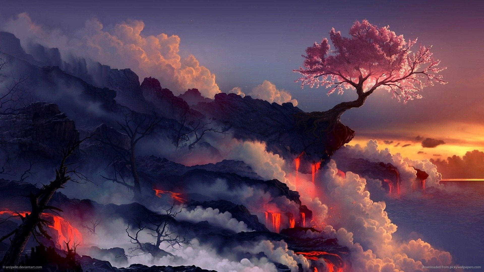 熔岩壯麗風景 壁紙 — 一棵孤獨的粉紅櫻花樹傲然挺立在懸崖邊，熔岩在夕陽下翻滾的雲層下流淌。