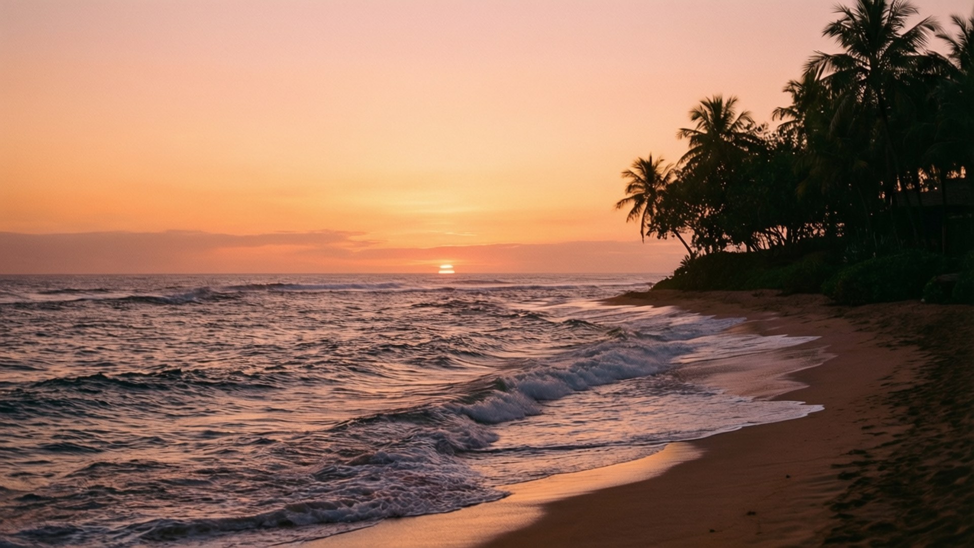 海洋上的夕陽，沙灘上有棕櫚樹