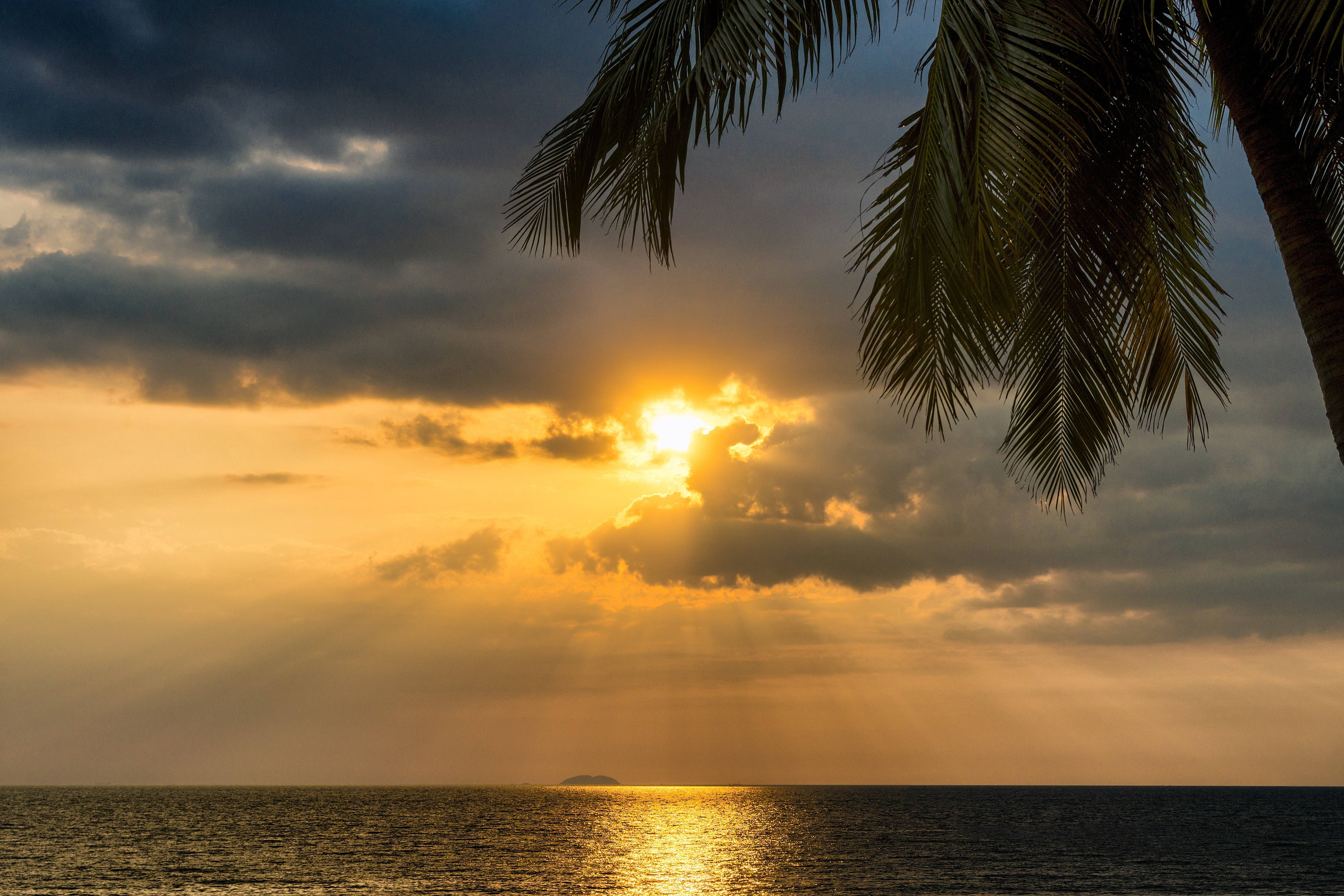 熱帶夕陽雲背景 壁紙 — 金色陽光穿透烏雲，棕櫚葉框住海洋上的場景。