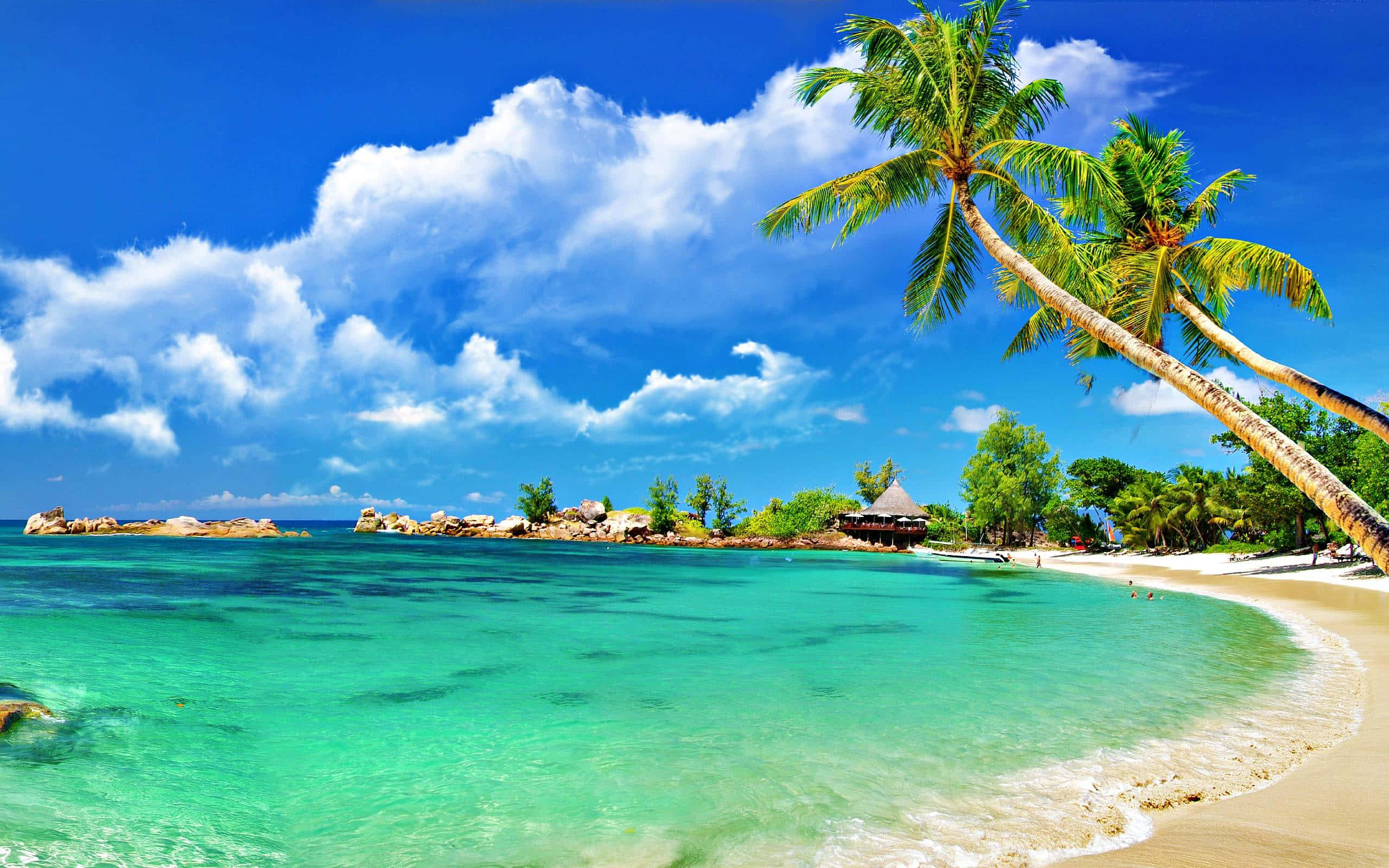 Beach Desktop 桌布 壁紙 — 熱帶天堂，擁有碧綠海水、沙灘和棕櫚樹，在明亮的藍天和蓬鬆的白雲下。
