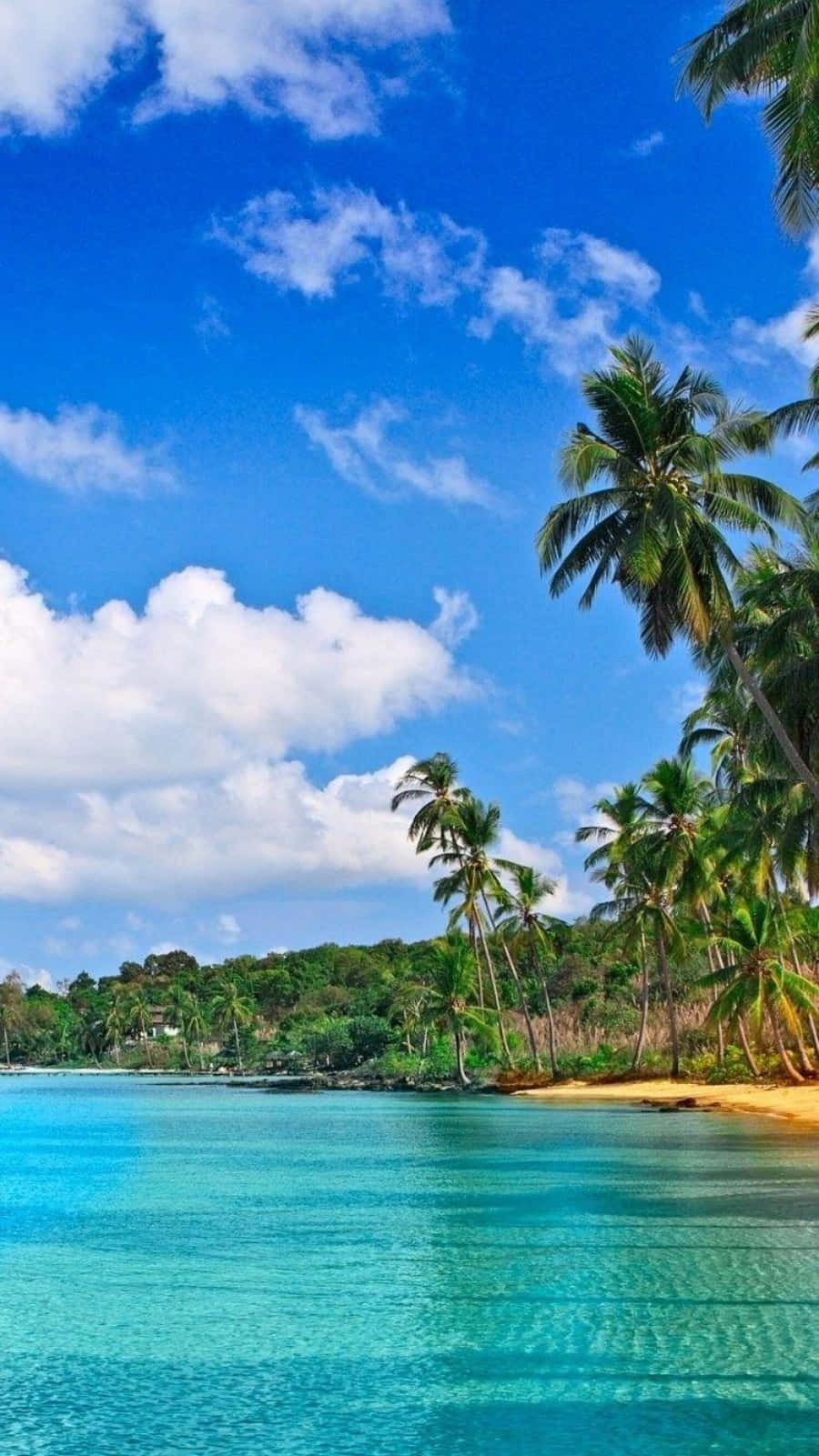 Costa Rica 桌布 壁紙 — 熱帶天堂，有碧綠海水、棕櫚樹和白雲，在充滿活力的藍天下。