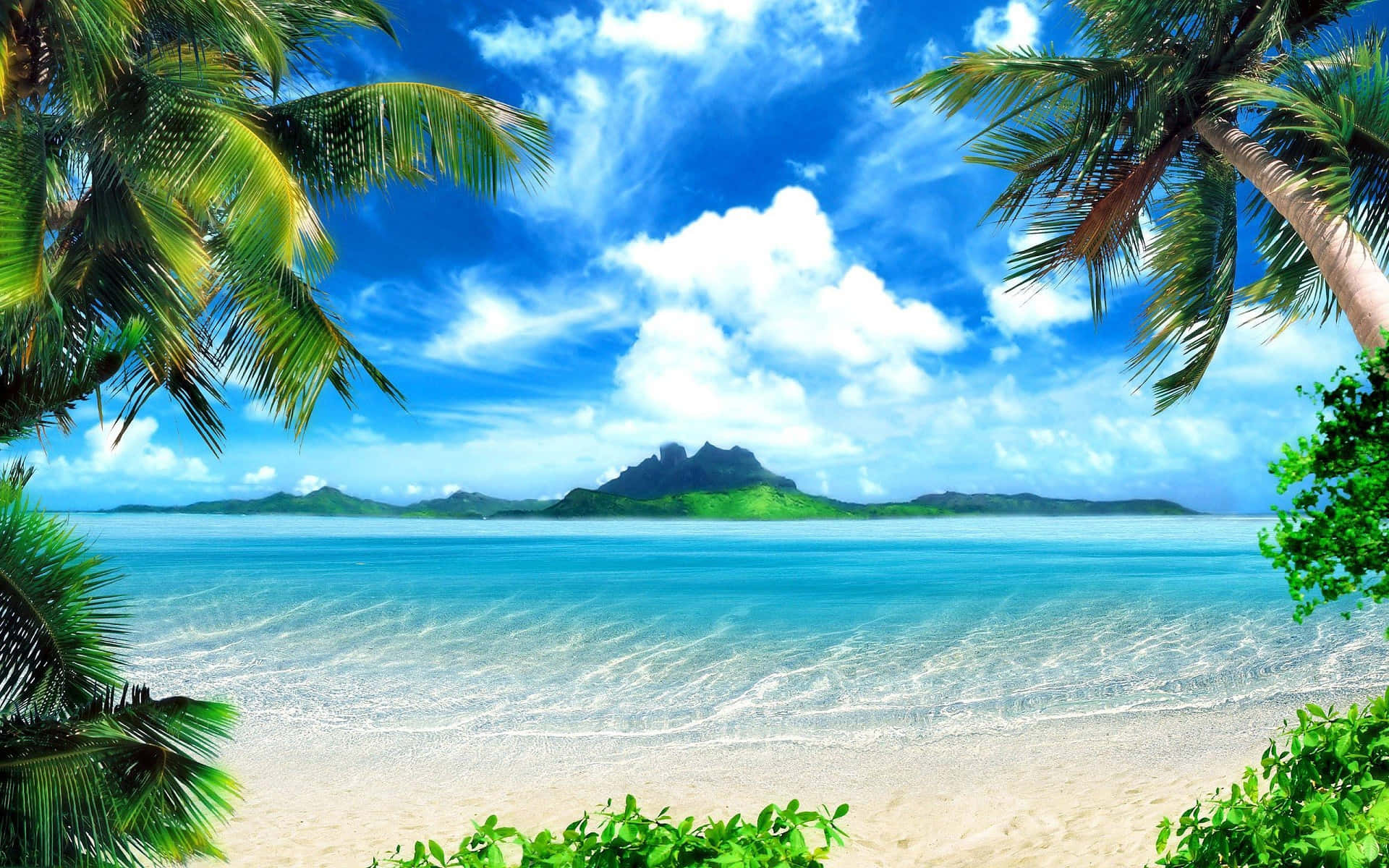 Beautiful Beach 桌布 壁紙 — 熱帶天堂，碧綠海水、輕柔海浪、白沙，在茂密棕櫚葉的襯托下，頭頂是湛藍的天空。