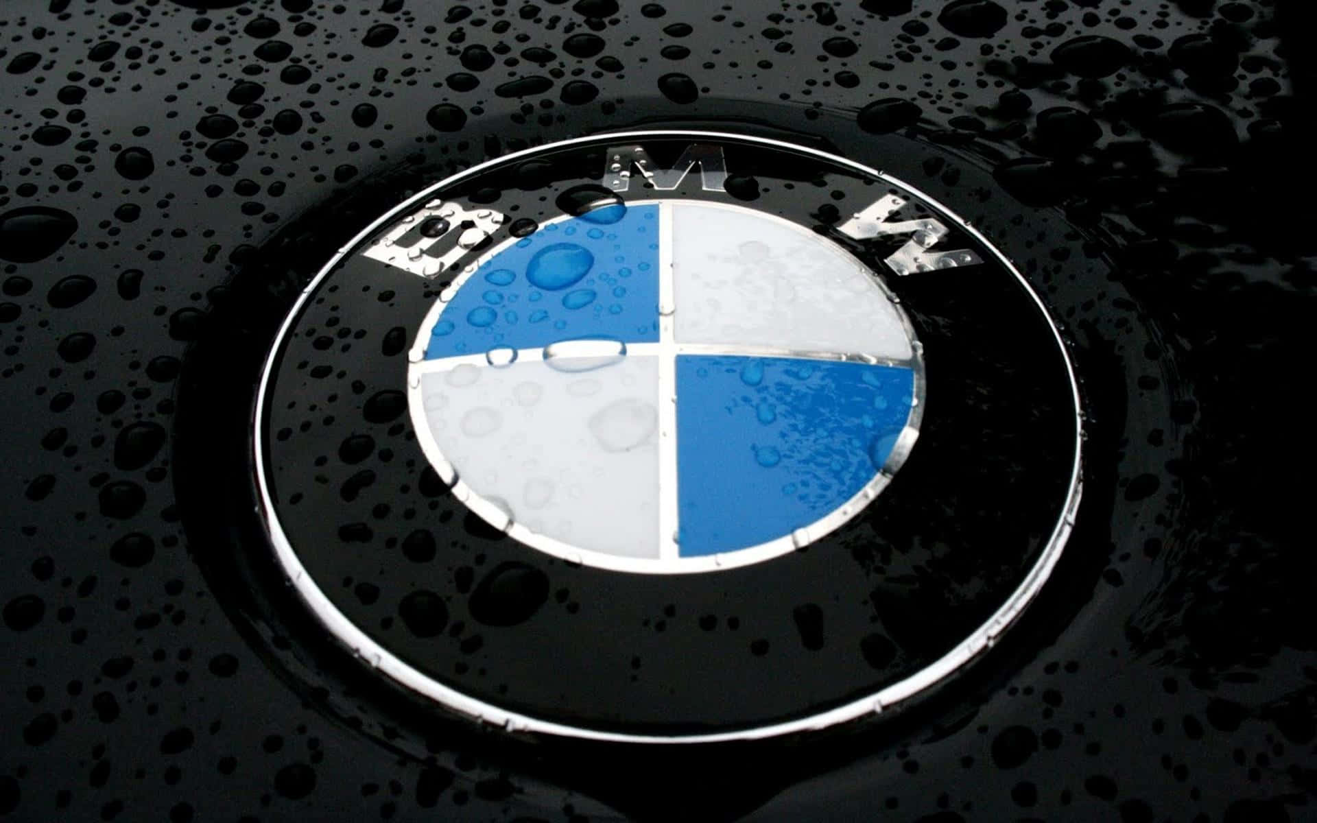 熱帶天堂的空中景觀 壁紙 — BMW 標誌特寫，位於濕透的黑色引擎蓋上，表面有閃爍的雨滴。