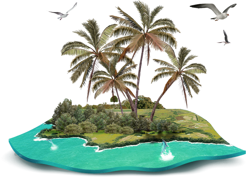 熱帶島嶼綠洲 壁紙 — 一個3D渲染的熱帶島嶼，有棕櫚樹和碧綠海水，海豚跳躍，海鷗在黑色背景上翱翔。